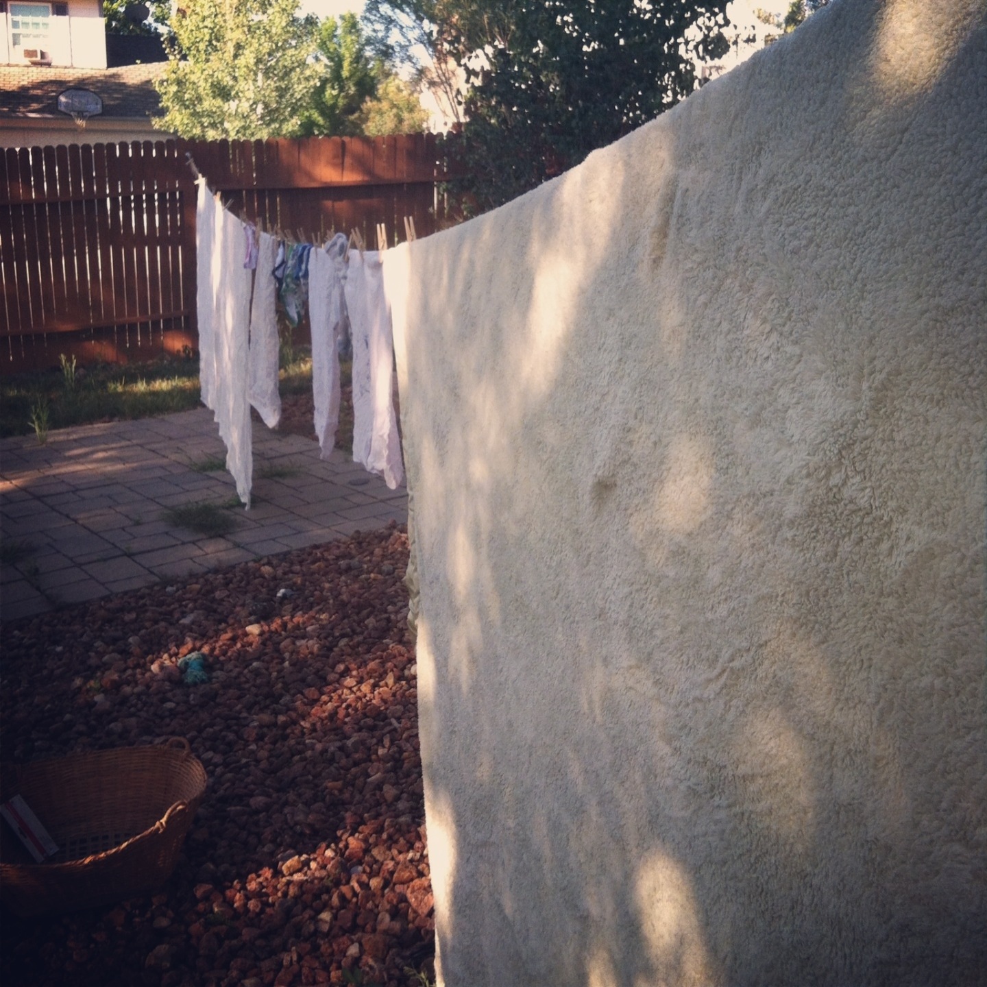 Kara’s Collection: Projects, purge, and a slow mind