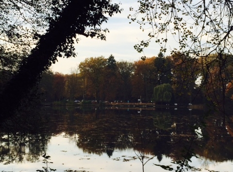 Community Series Q&A: Is there purpose in times of no community? How can we take advantage of those times to learn and grow?