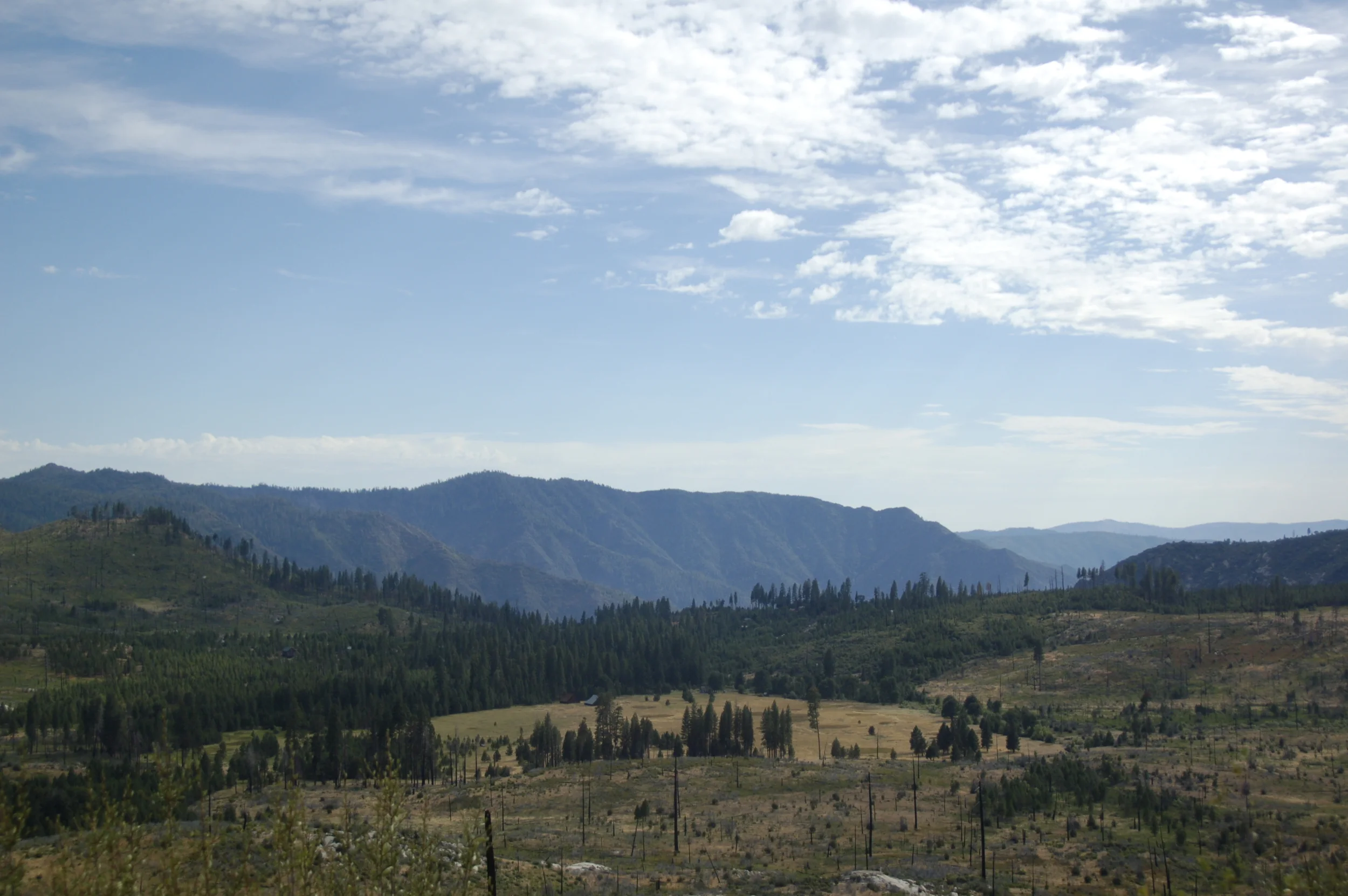 An Open Letter to the Lonely