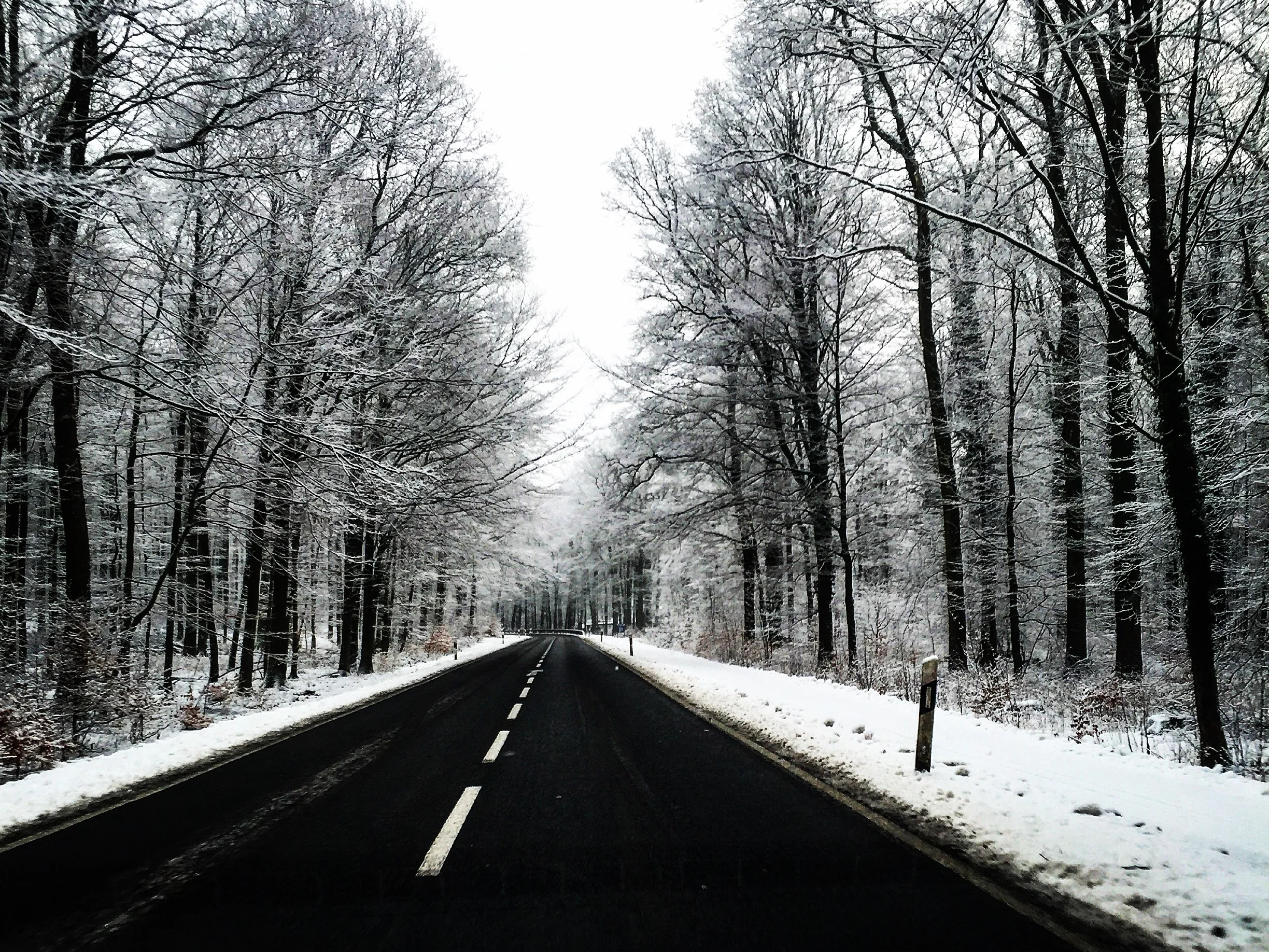 Unknown, poured out, and lonely