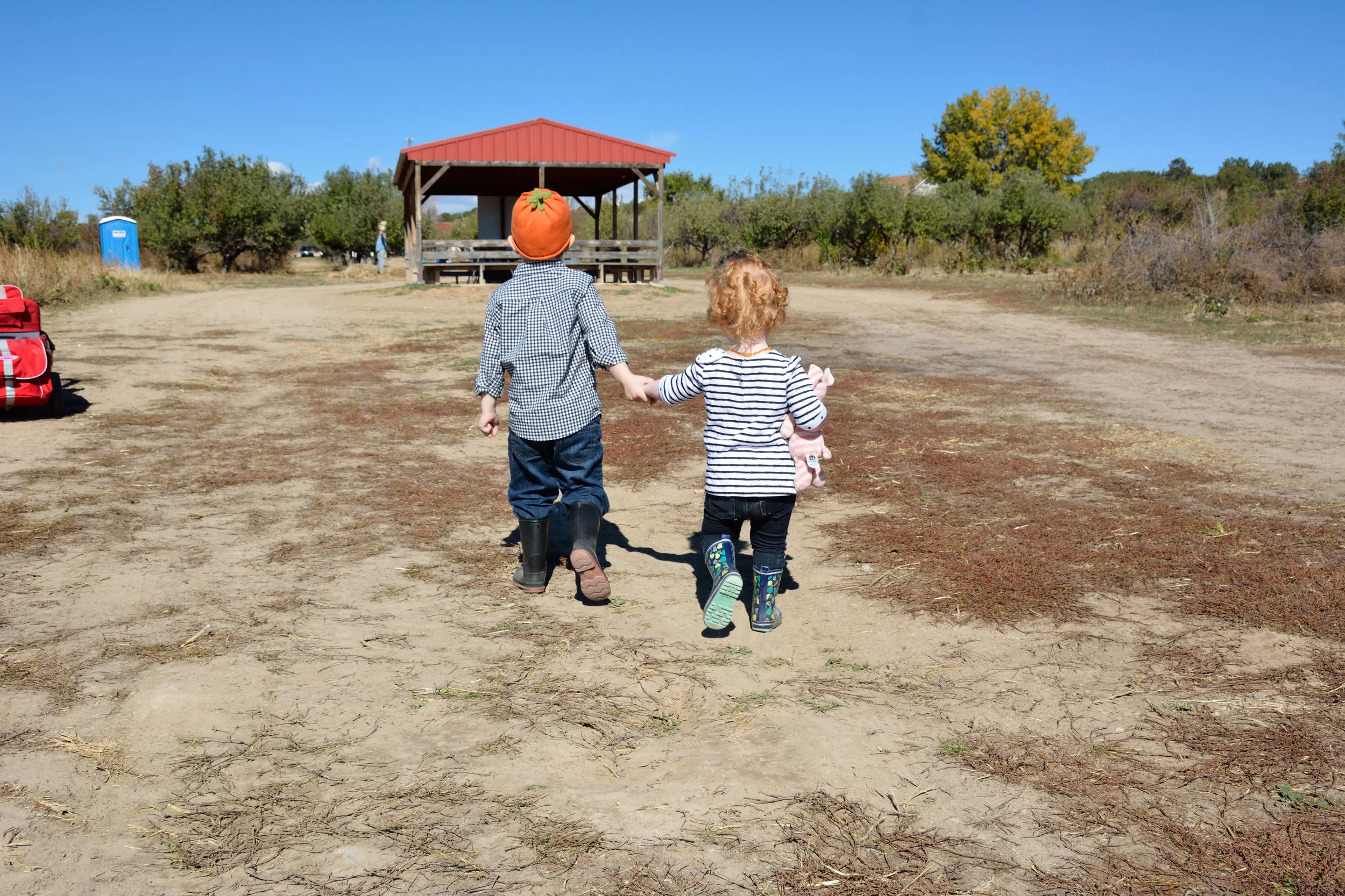 A letter to the numb-hearted