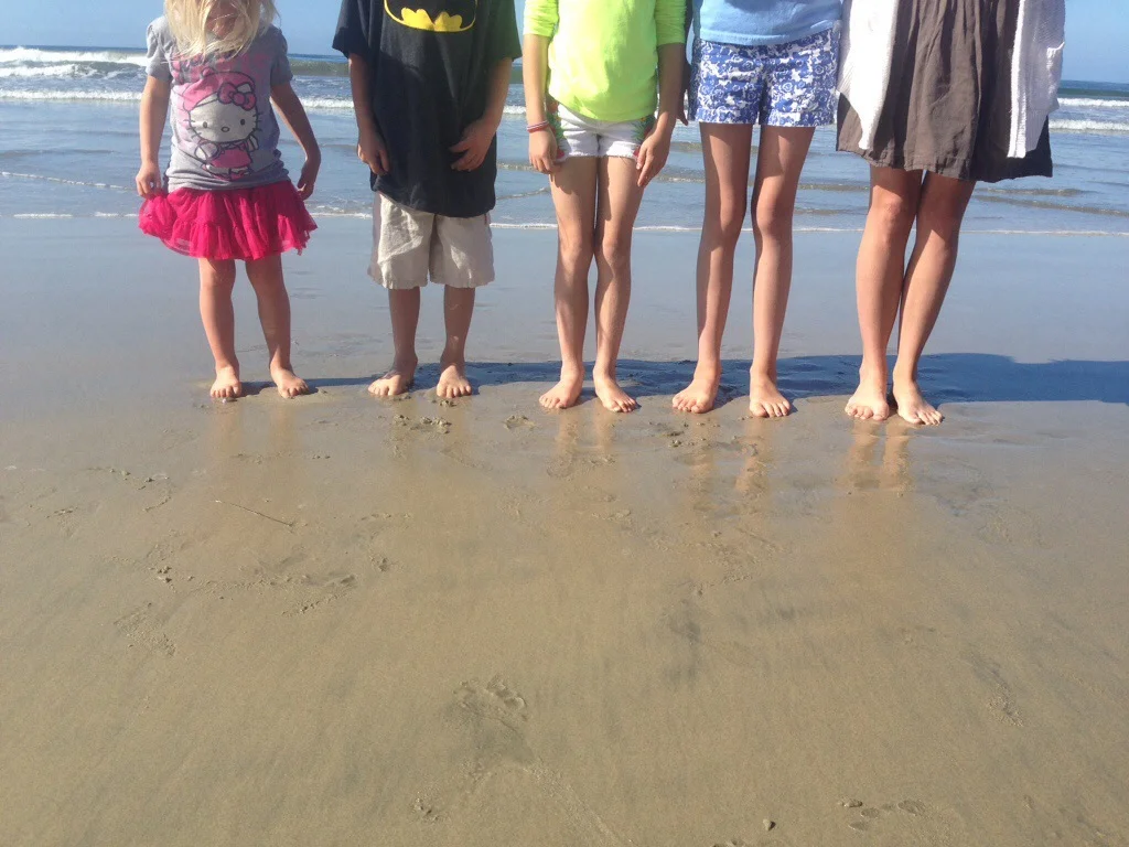 Kara’s Collection: New Borders