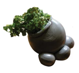 Gilbert-1.jpg