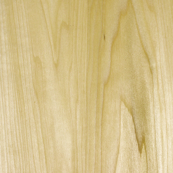 the sustainable trophy — eco awards & gifts