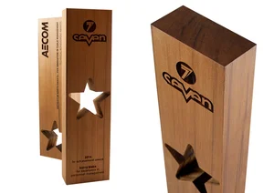 aecom recovered wood star eco-friendly custom award design