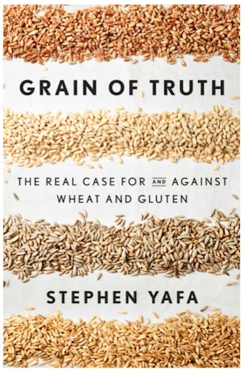 book cover.png