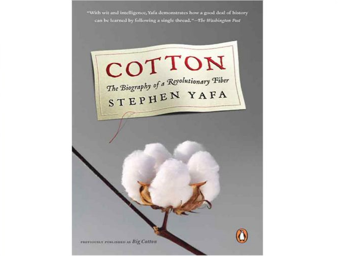 book cover.png
