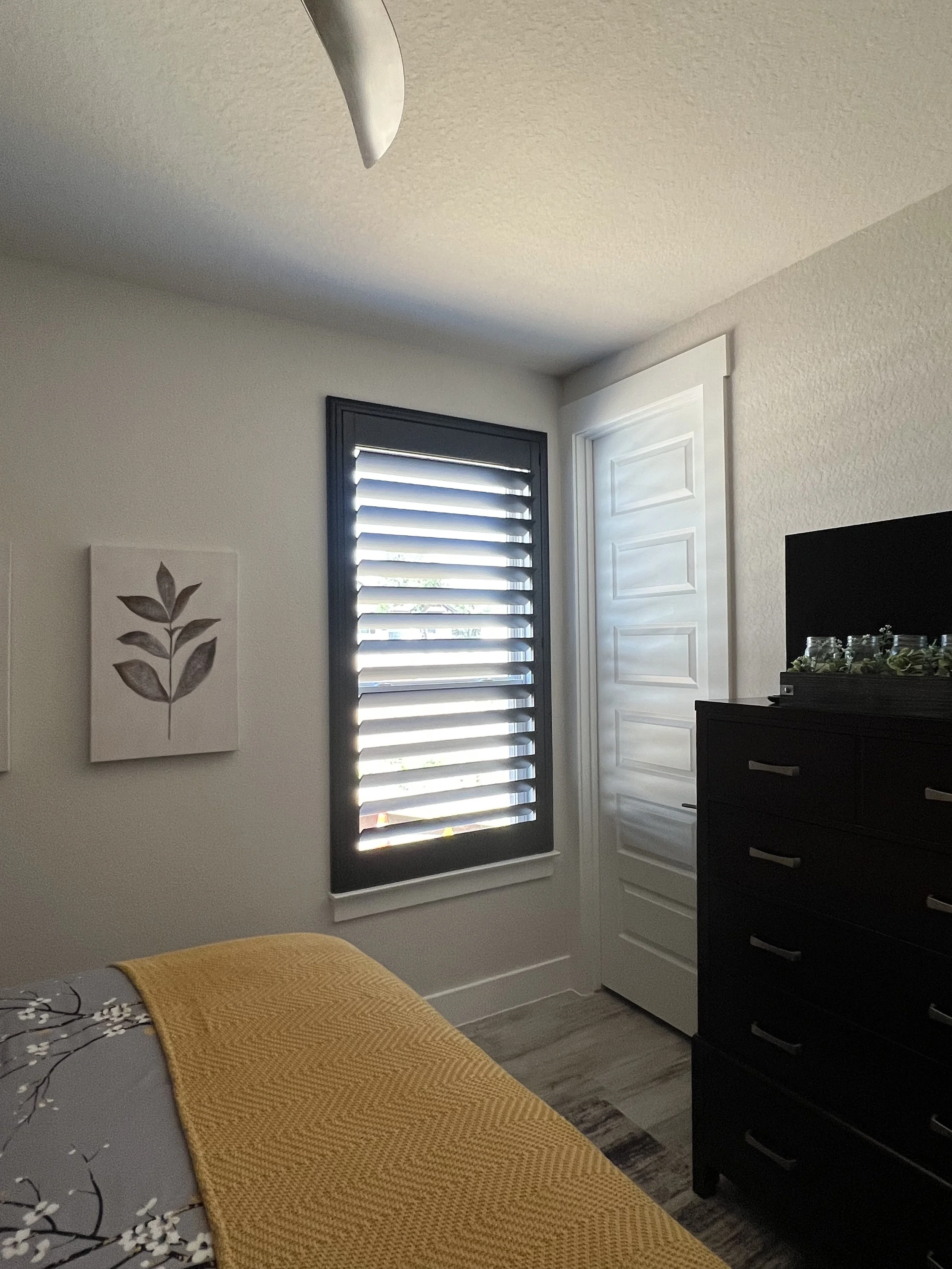 SHUTTER 26.jpg