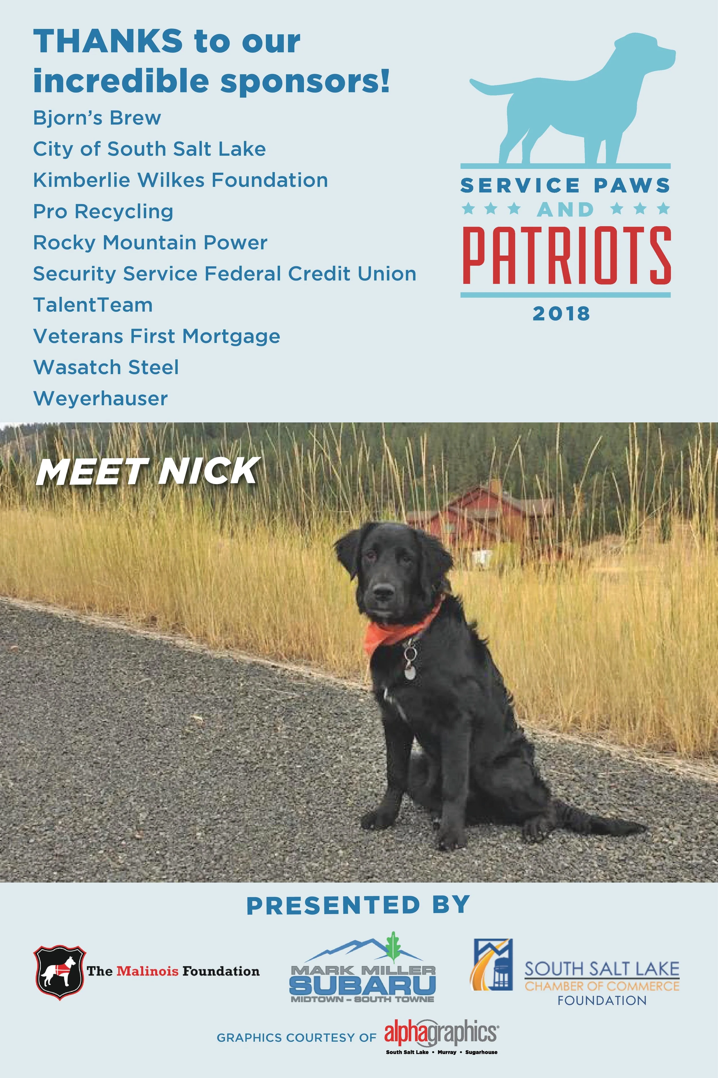 P4P 2018--Nick-page-001.jpg