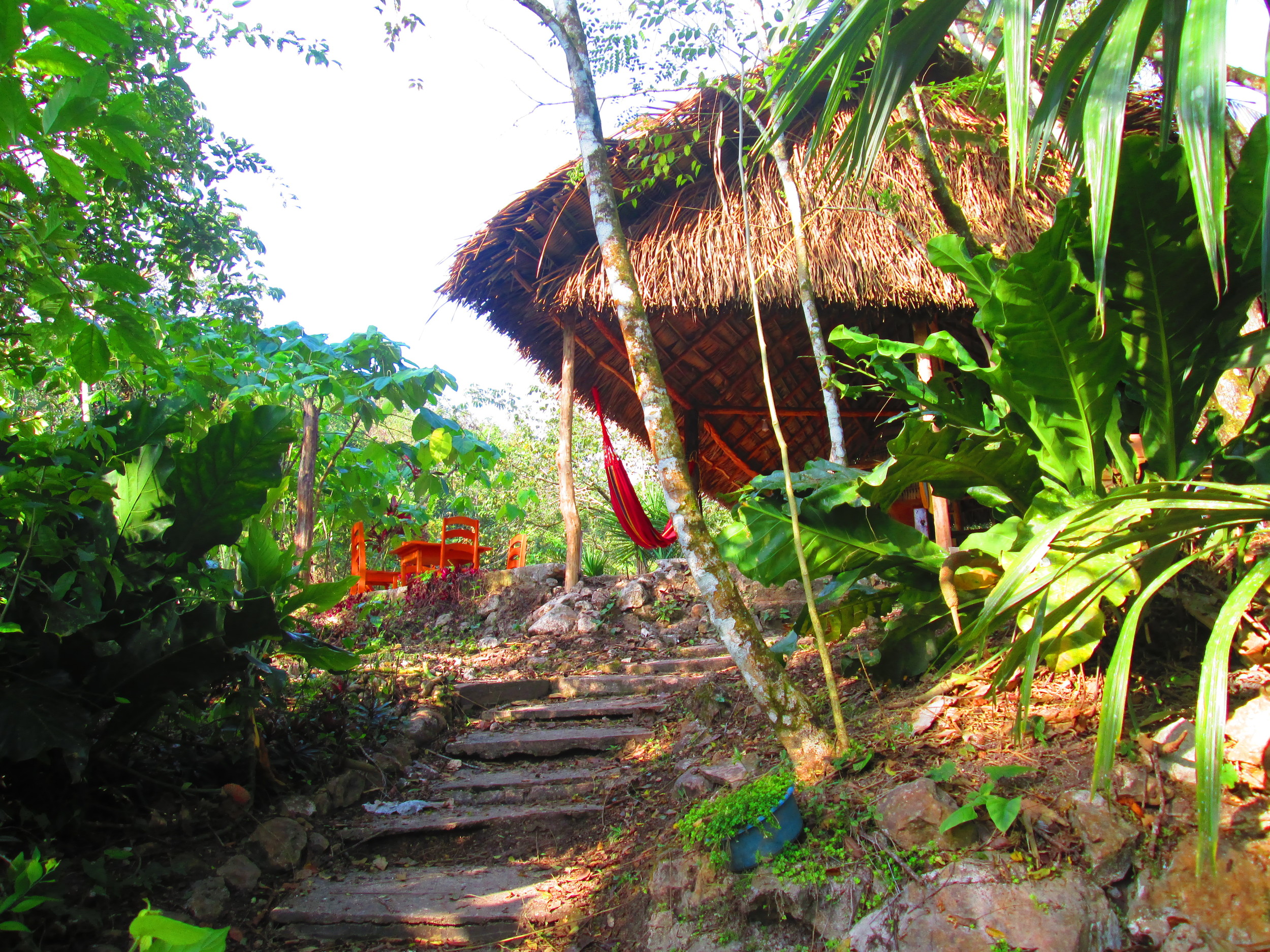 stairs to dining.JPG