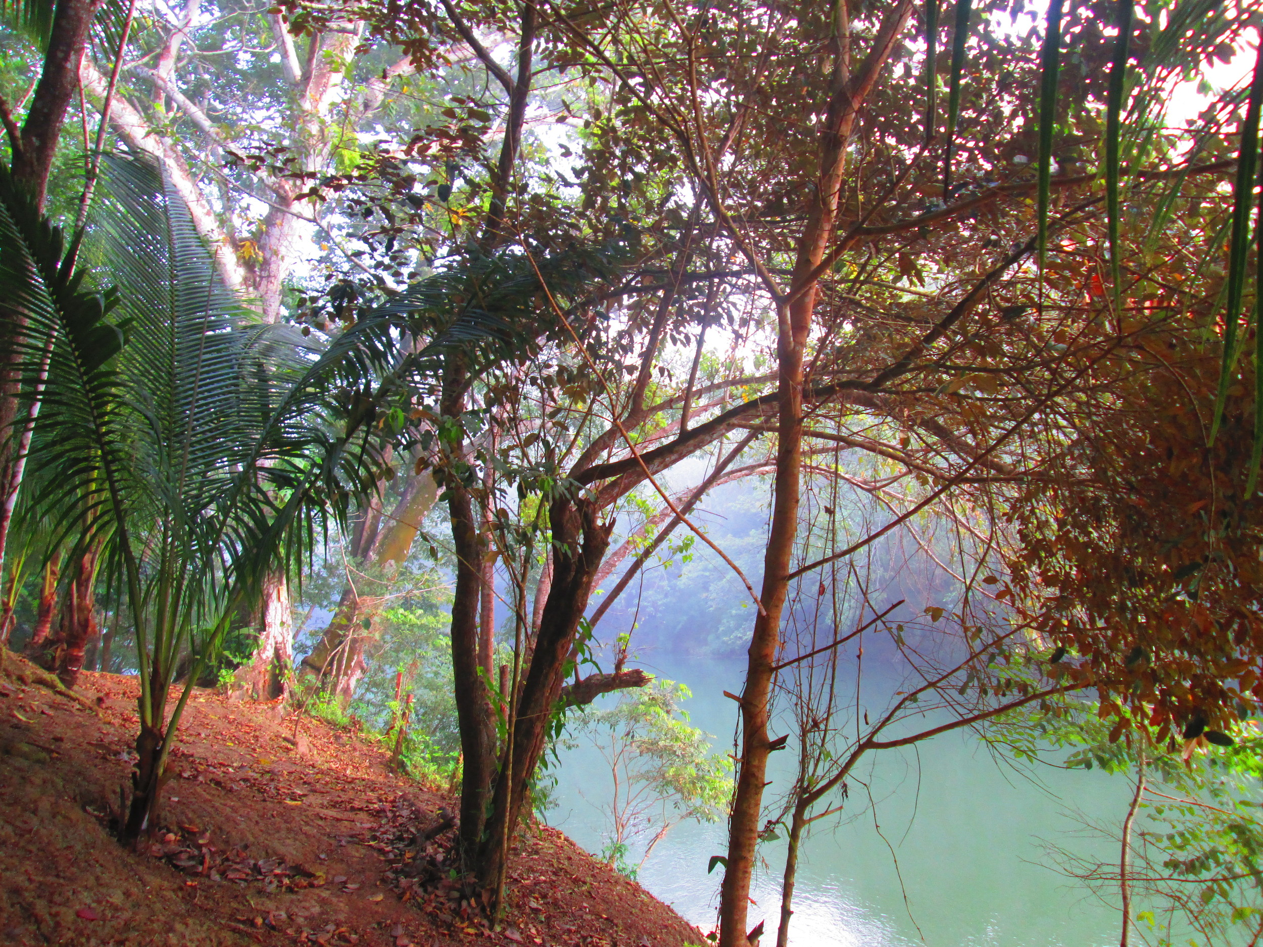 Belize River Bank.JPG