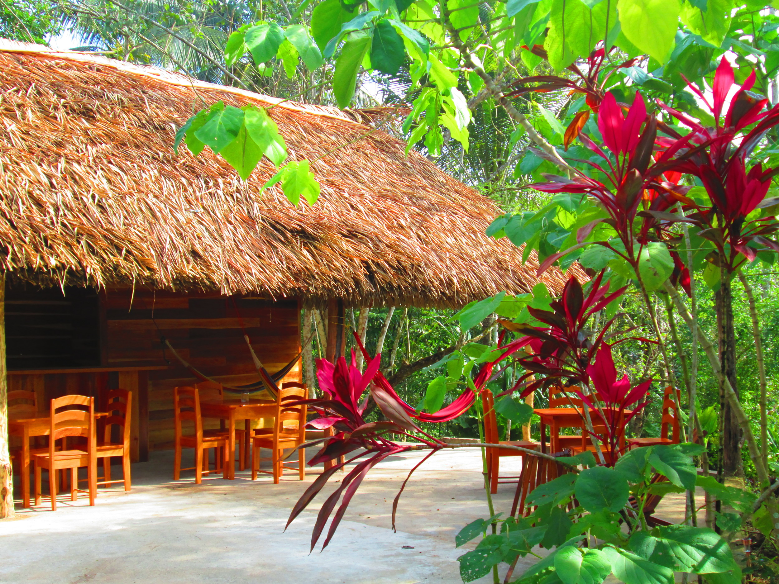 Dining Thatch Patio.JPG