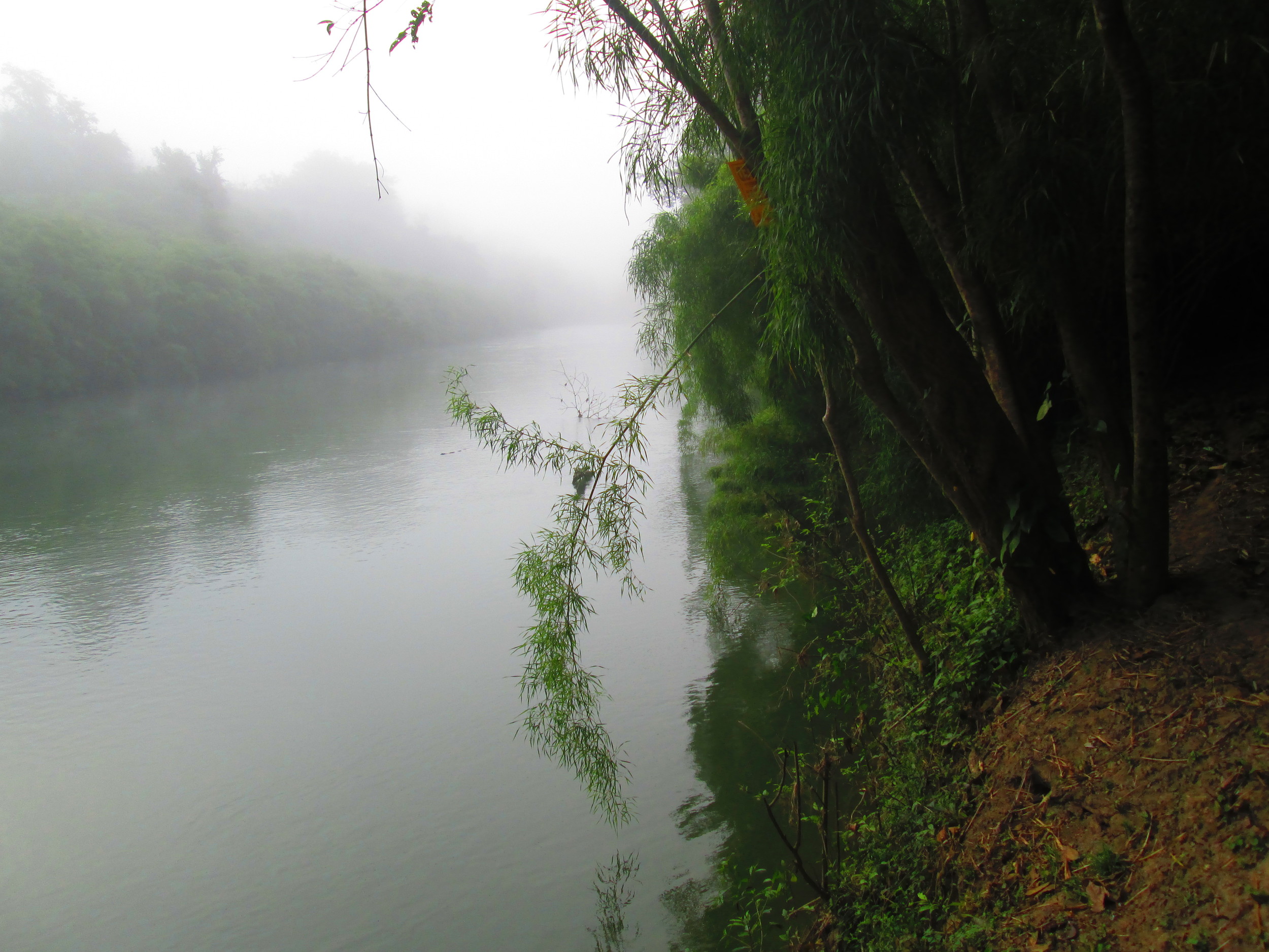 Belize River Bank Misty.JPG