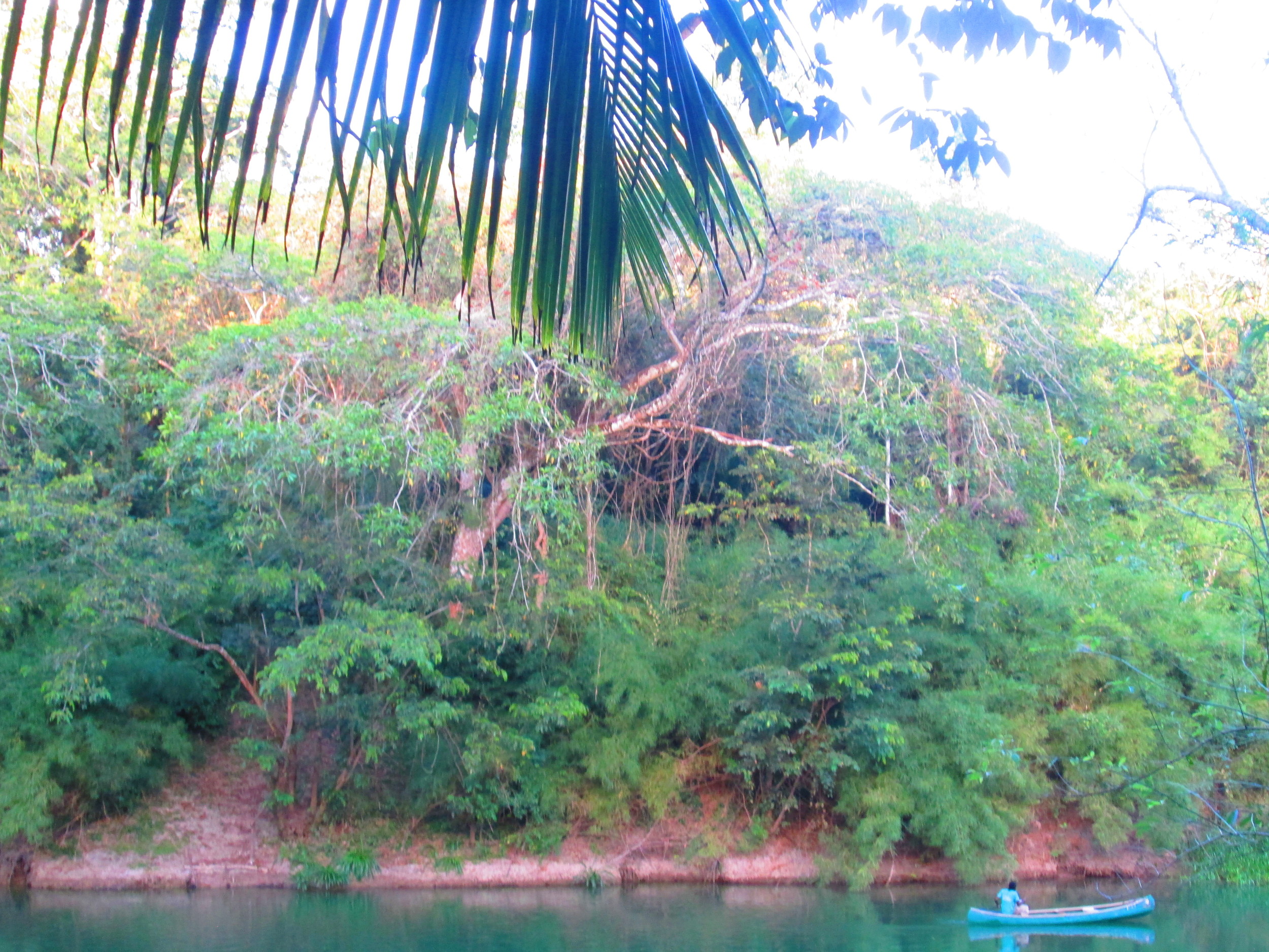 Belize River with Canoe.JPG