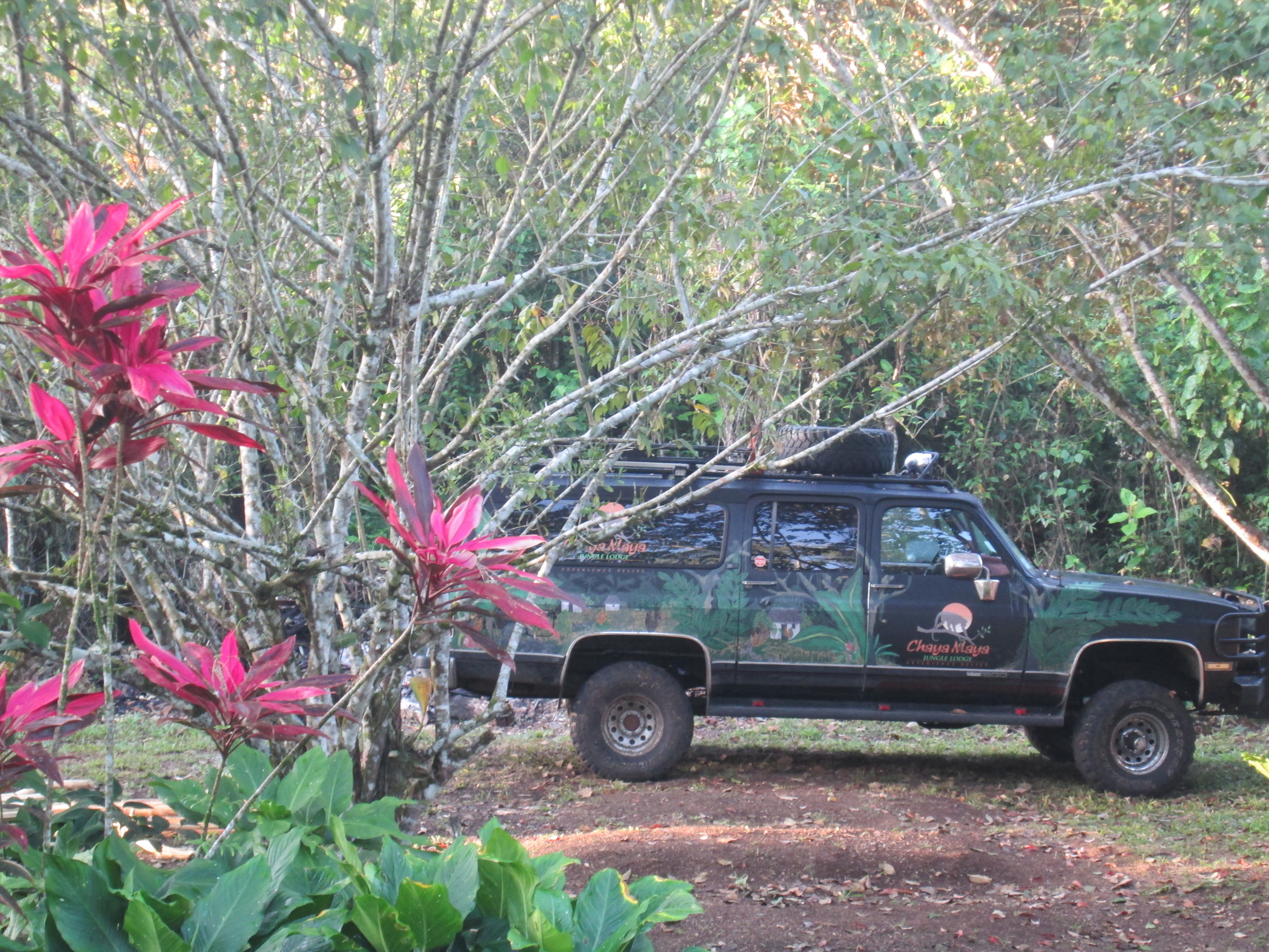 Jungle Truck 2.JPG