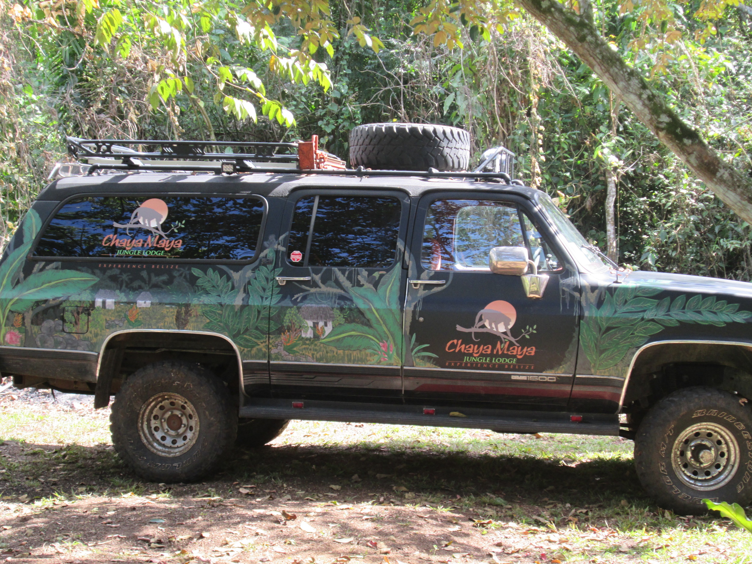 Jungle Truck.JPG