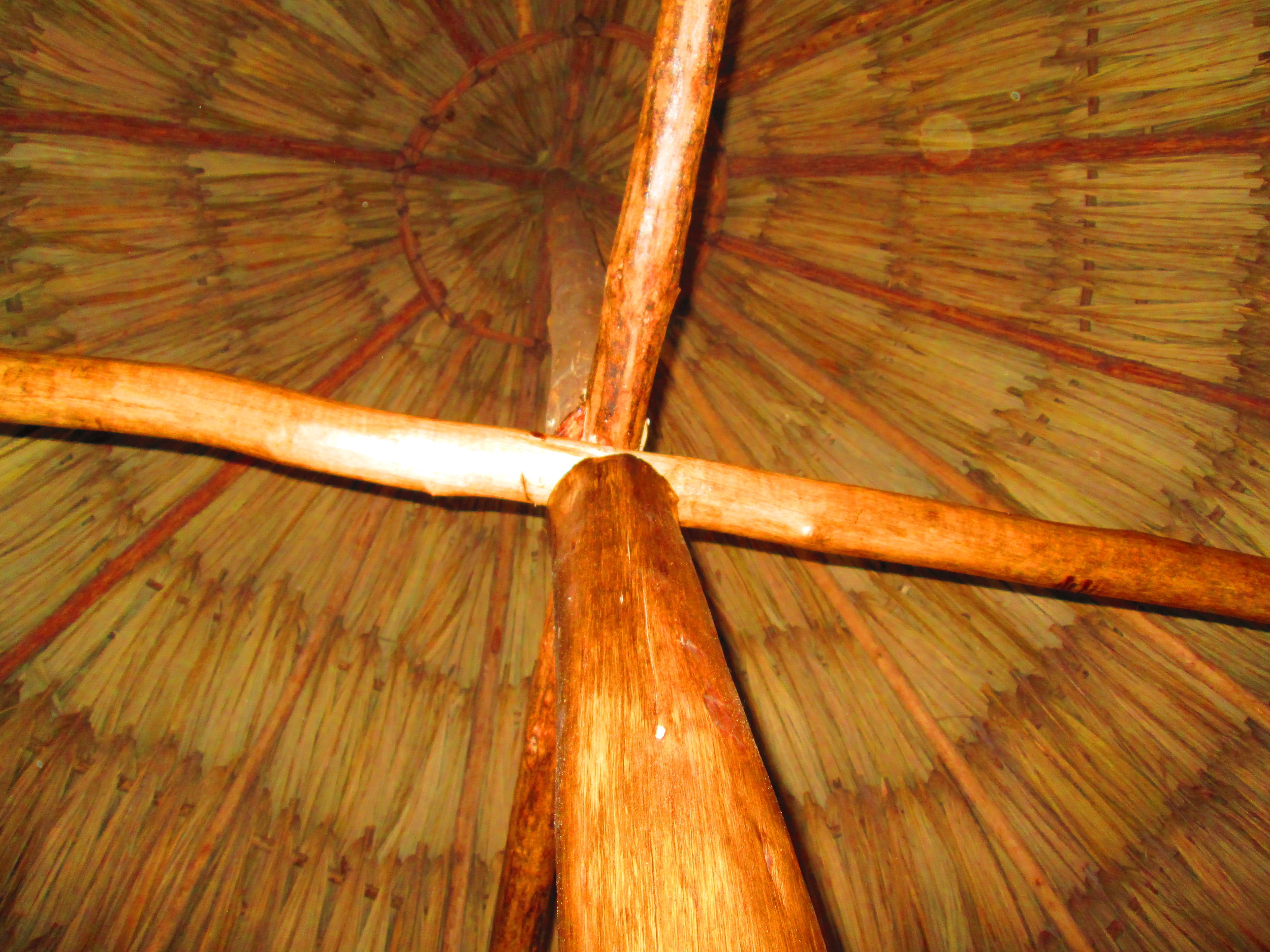 Thatch roof 2.JPG