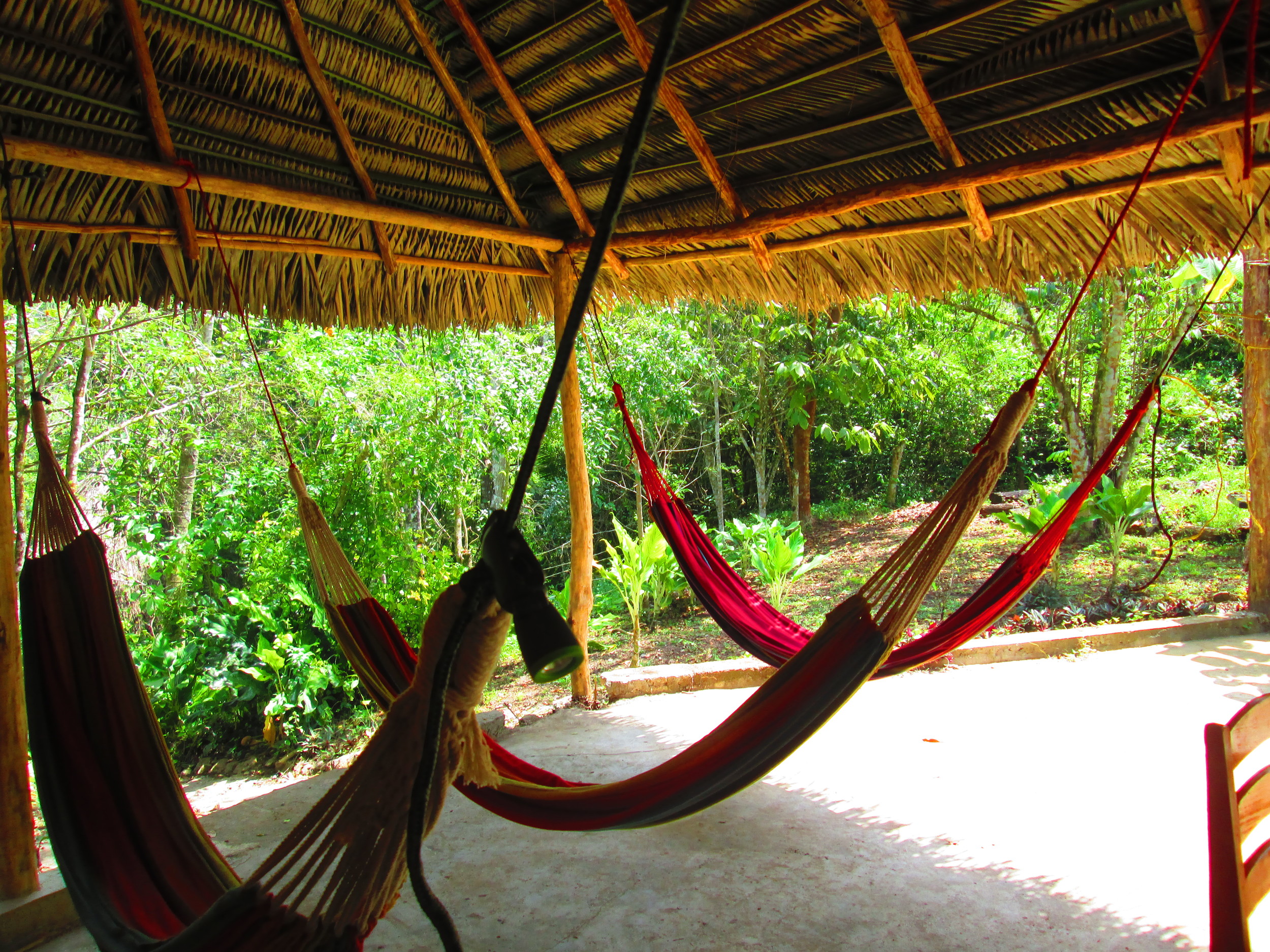 Three hammocks 2.JPG