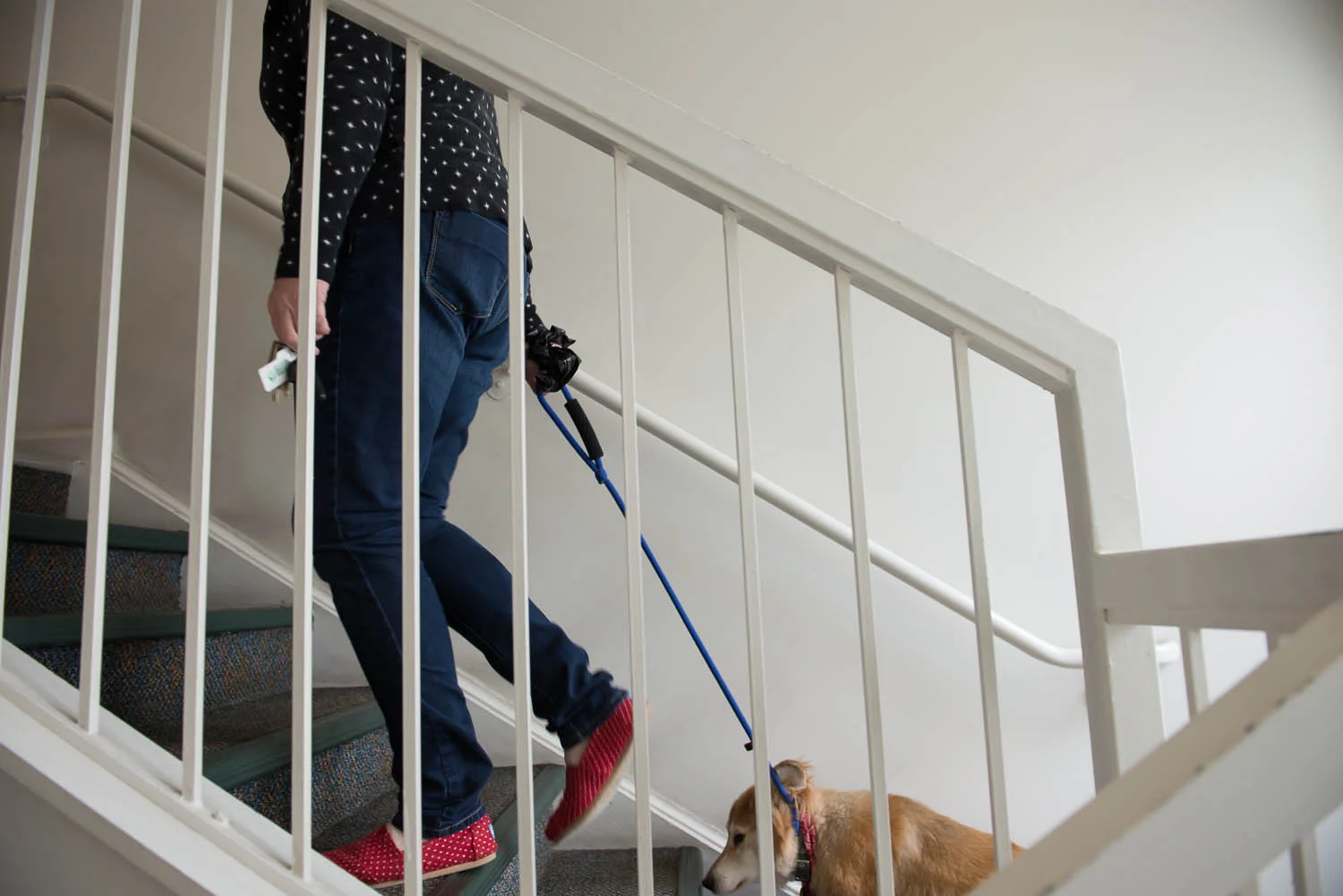 Joani Peacock goes up the stairs to her apartment after walking her dog, Bailey, in Alexandria, Va., Wednesday, Sept. 24, 2014. Peacock calls Bailey her “therapy dog” because even when her energy is low due to her bipolar disorder, she must go outside several times each day to walk him.