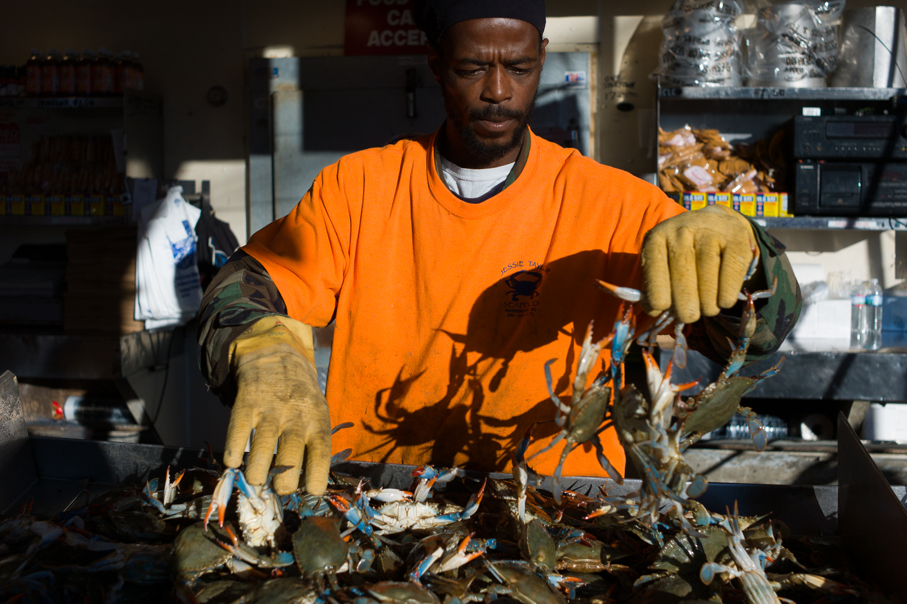 Saturday morning at the Maine Avenue Fish Market, Southwest Waterfront, Washington, DC.