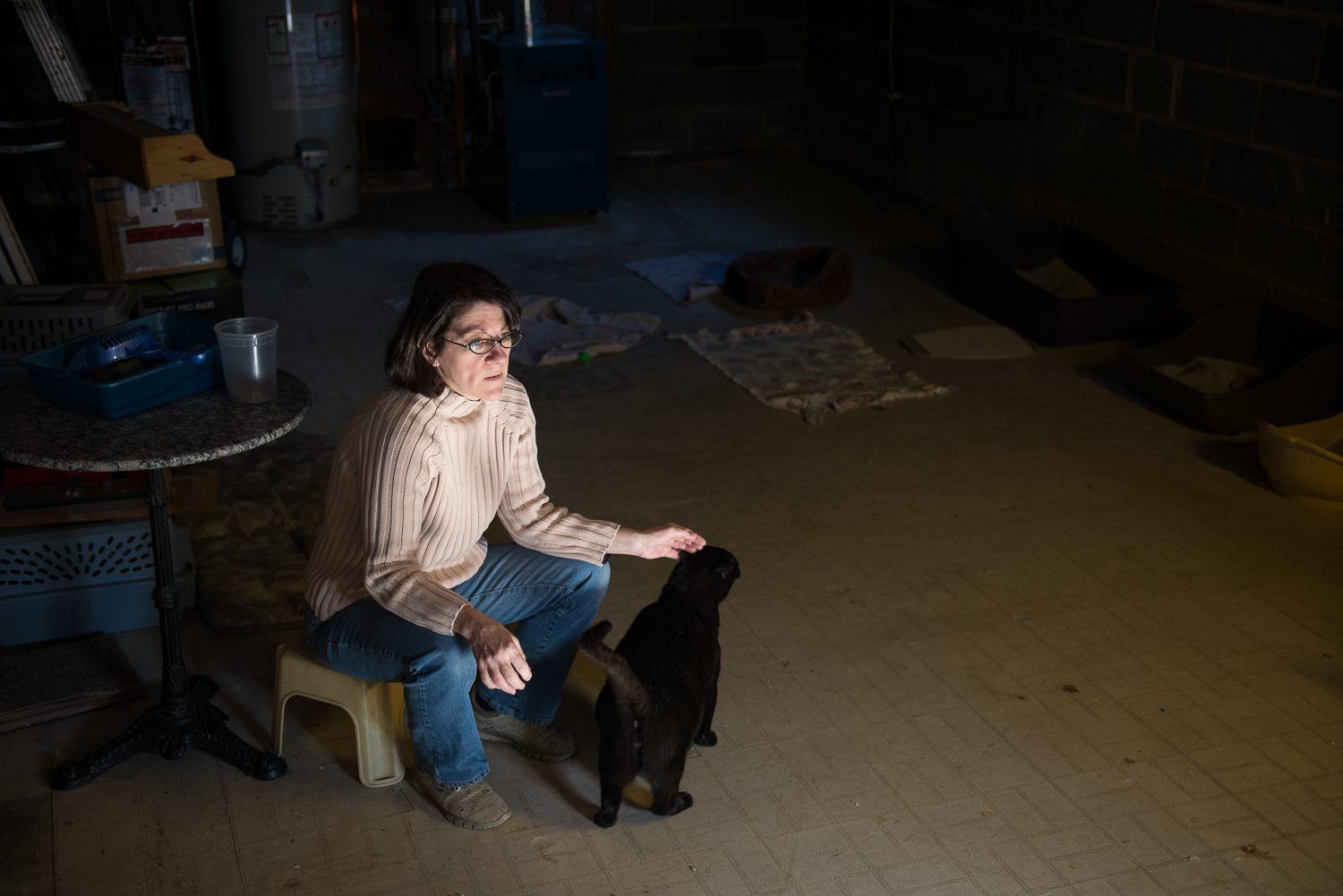 Laurice Ghougasian sits in the basement of her home, where she cares for 11 cats, many of which are former ferals she has rescued.