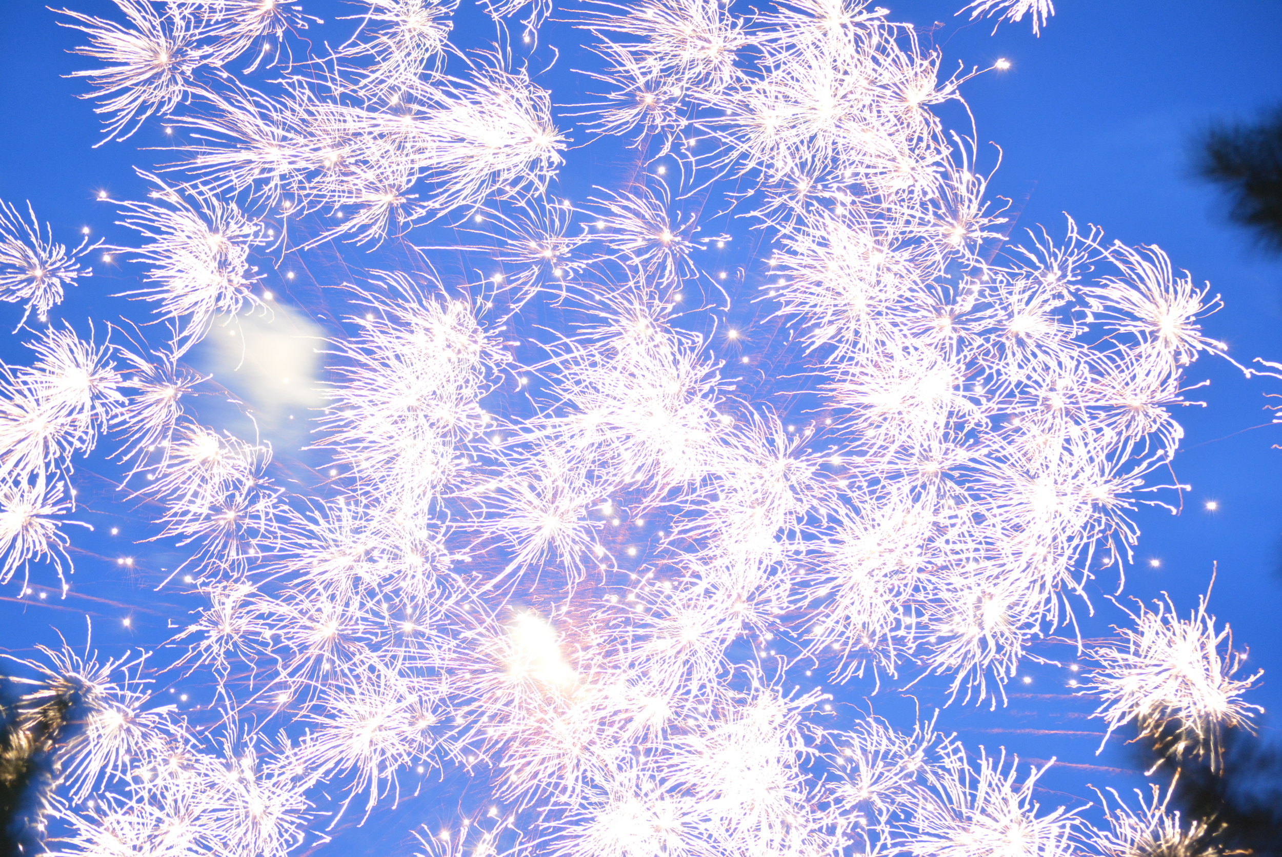 2019 Camp Dream ses1 day3 059.JPG