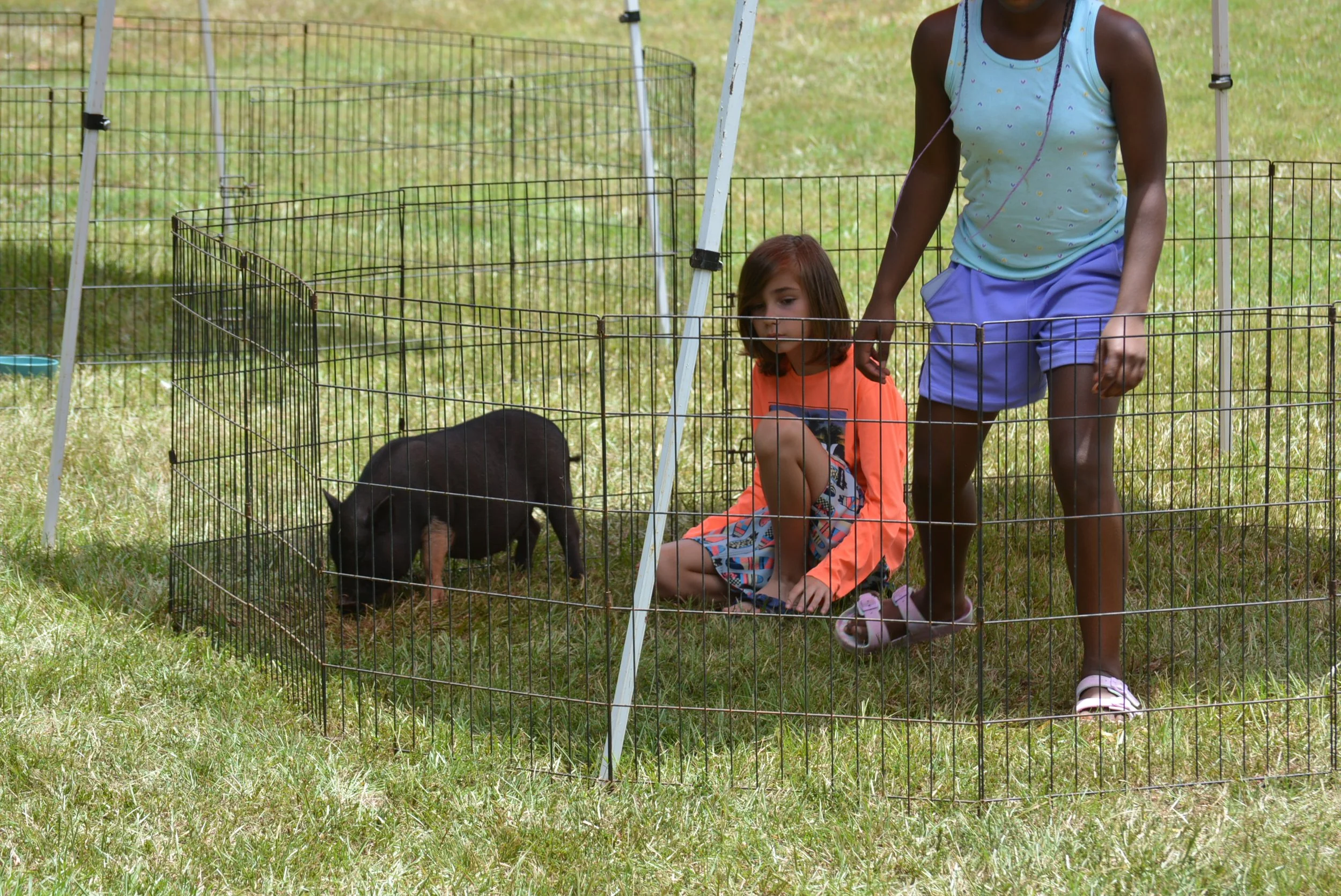 2025 CAMP DREAM ses2 566.JPG