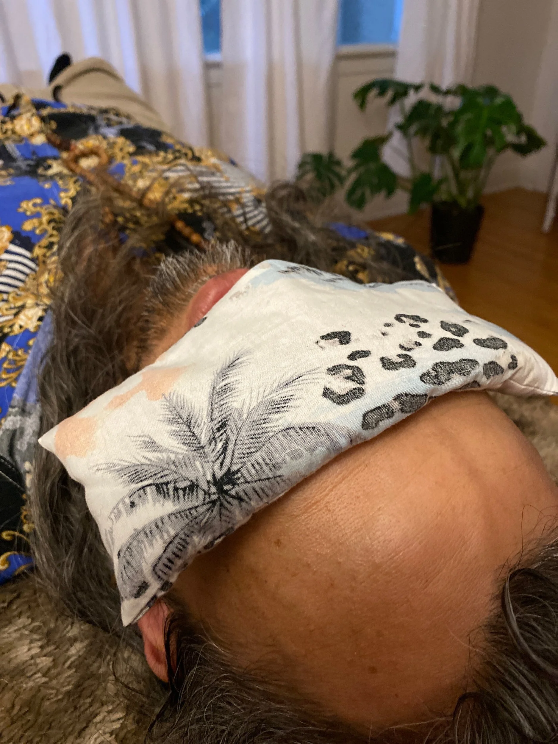 C40AFA27-1015-413A-AB15-4BDB2EE801D3