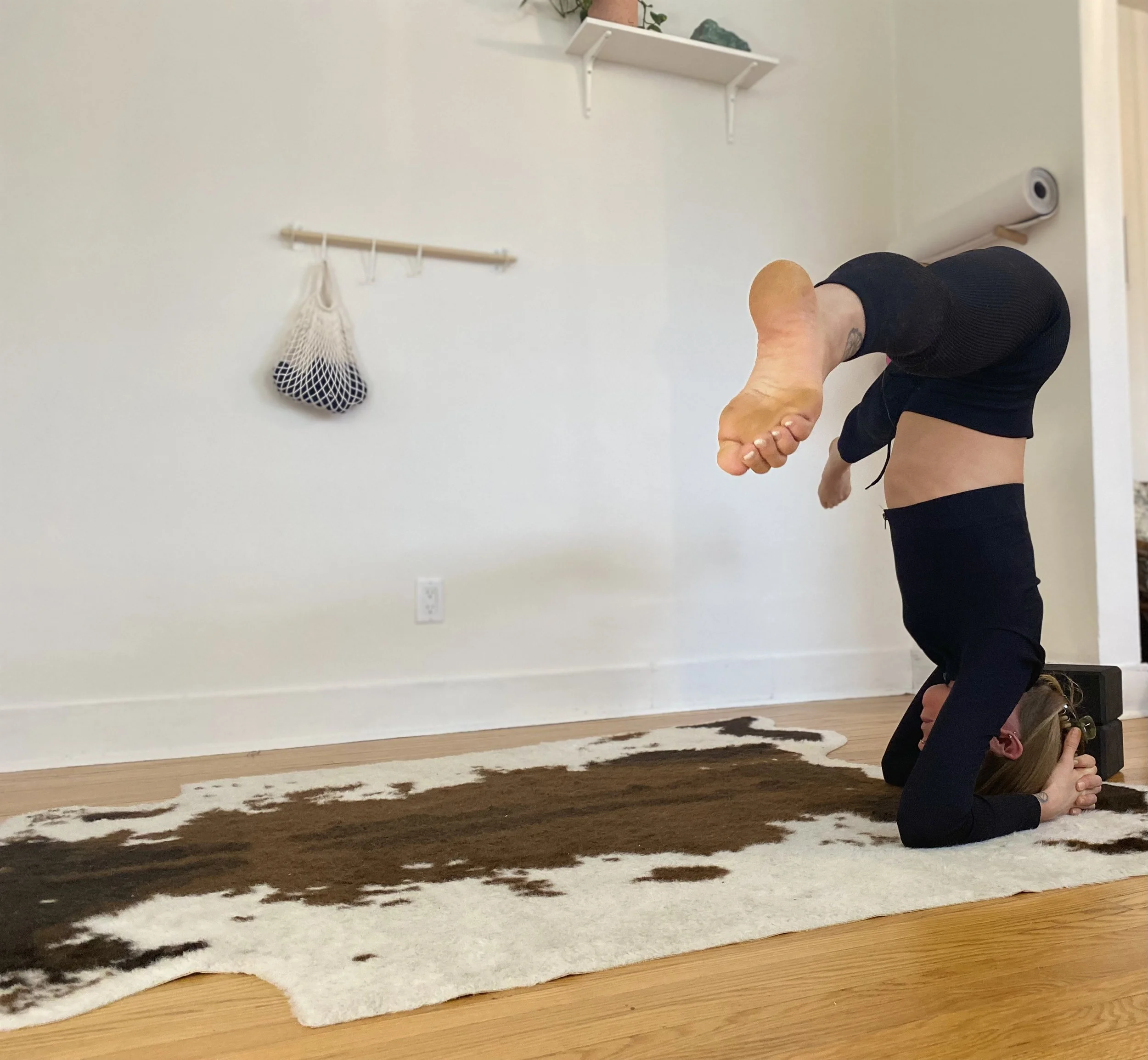 1:1 Yoga + Meditation Session(s), Programs, Classes