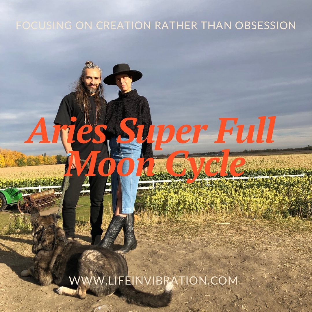 .

Embracing Wholeness: Our Family&rsquo;s Journey Through the Aries Super Full Moon 

Excerpt 

Hola + Namaste, 

As we navigate life&rsquo;s twists and turns, our family has been on a transformative journey, recognizing themes that require attentio