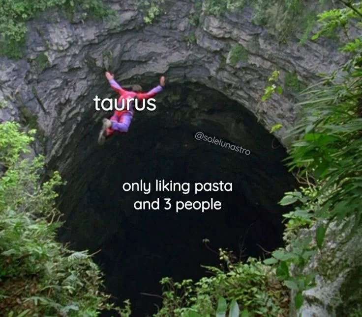 51e188bc-fa10-485d-b782-1bce3ea8d20c.jpeg