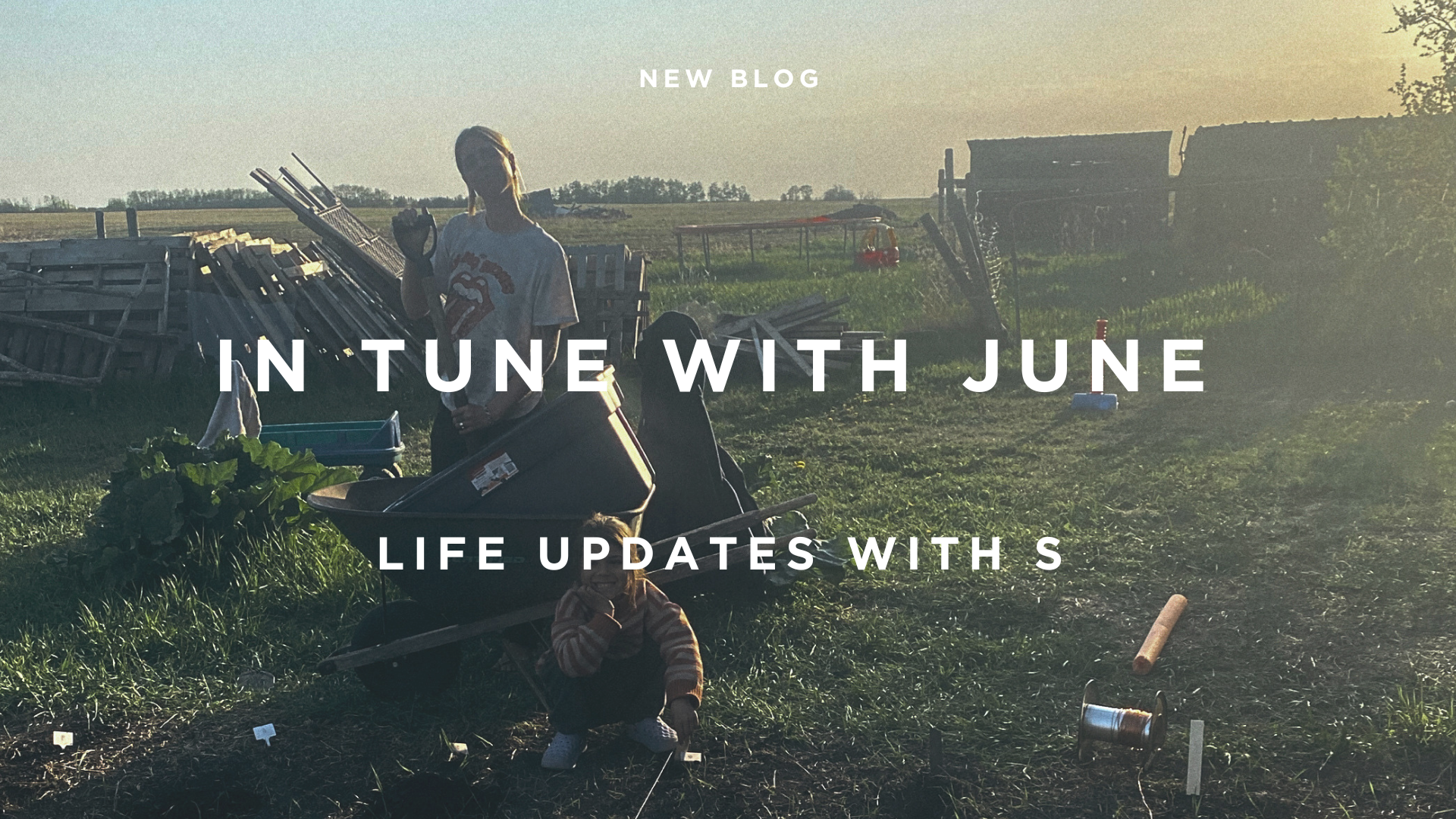In Tune with June: Finding Your Rhythm in the Waves