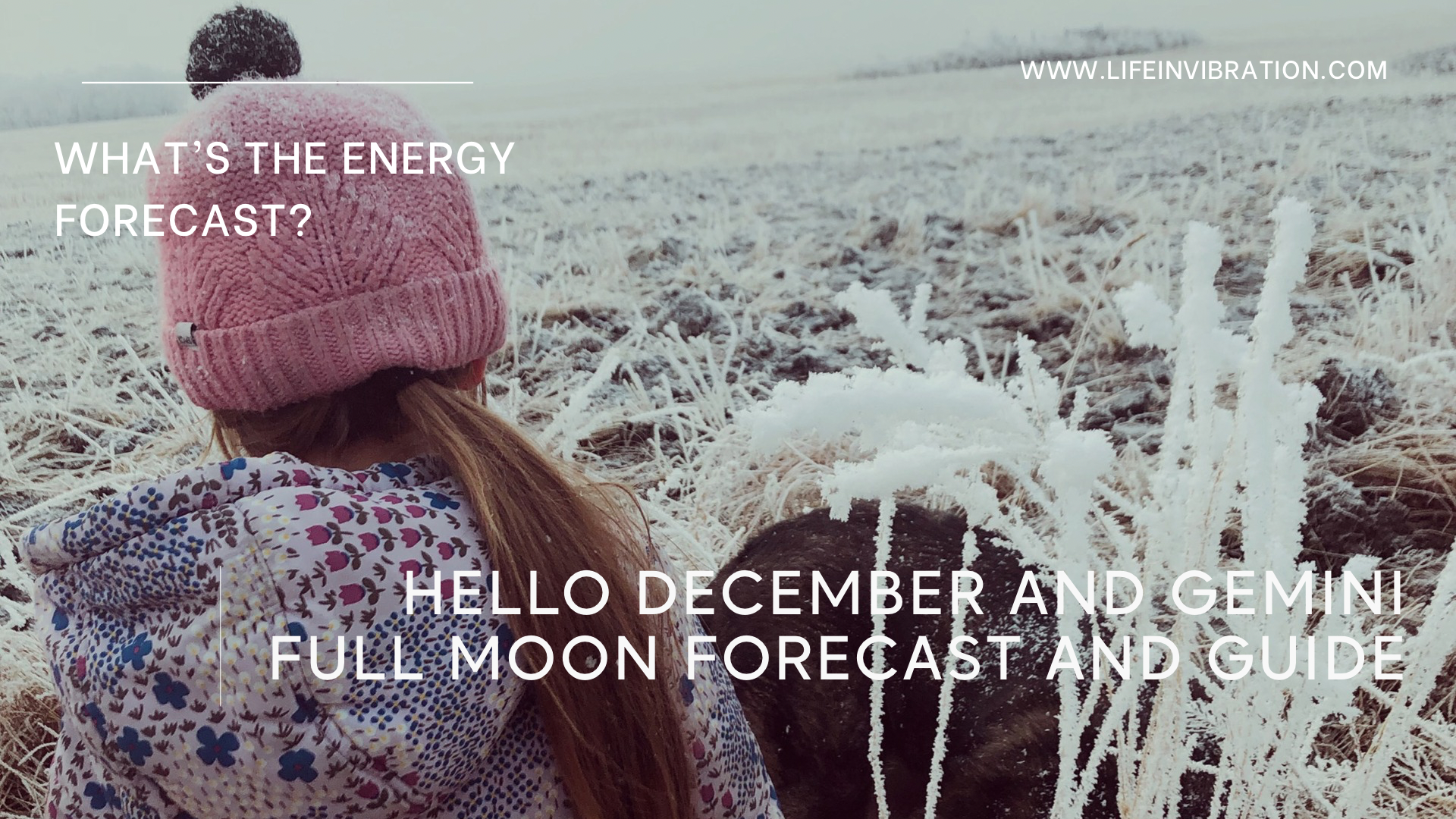 Light Green and Neon Yellow Photographic UI Self Care September Instagram Story (Facebook Event Cover) (Instagram Story) (1920 x 1080 px).png