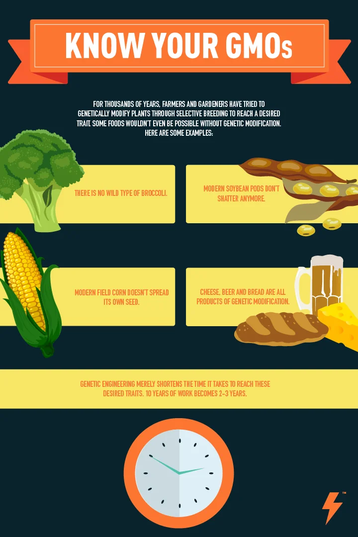 52775_Barnstorm_KnowYourGMOs_Infographic4-01.jpg