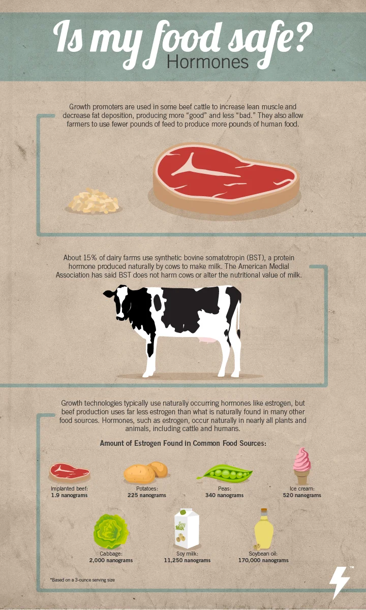 52775_Barnstorm_FoodSafety_Hormones_Infographic-01.jpg