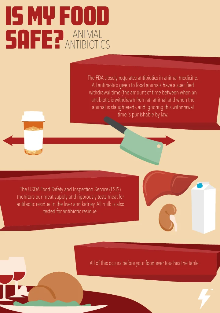52775_Barnstorm_FoodSafety_Antibiotics_Infographic-01.jpg
