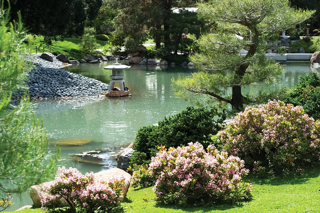 Friendship Garden.jpg