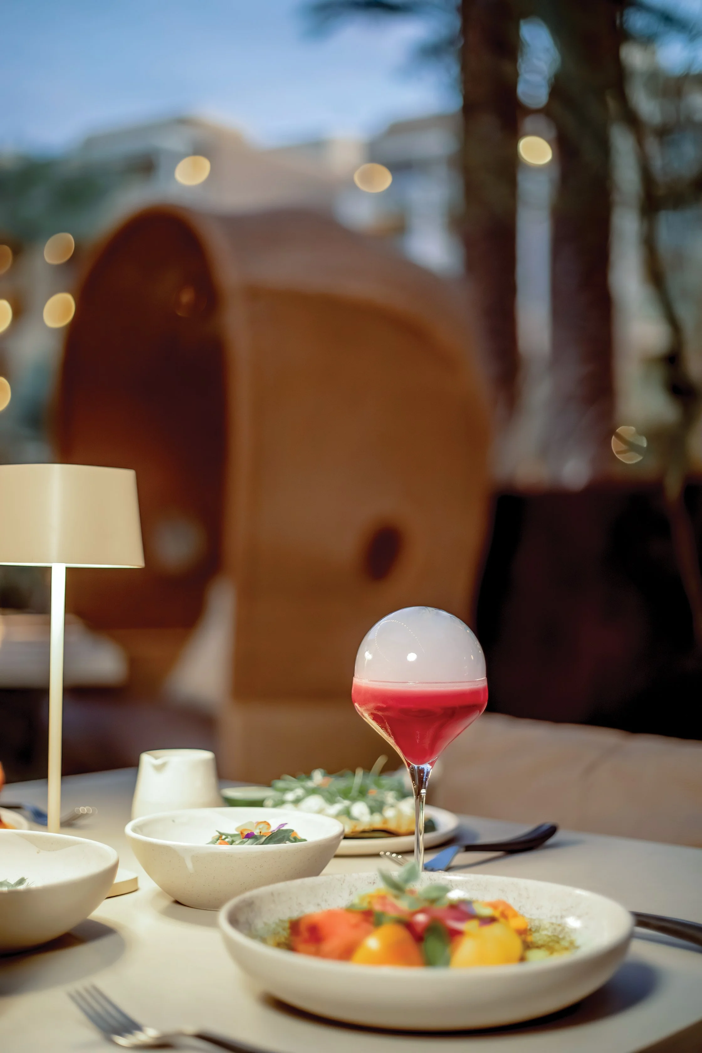 Hibiscus Desert Balloon.jpg