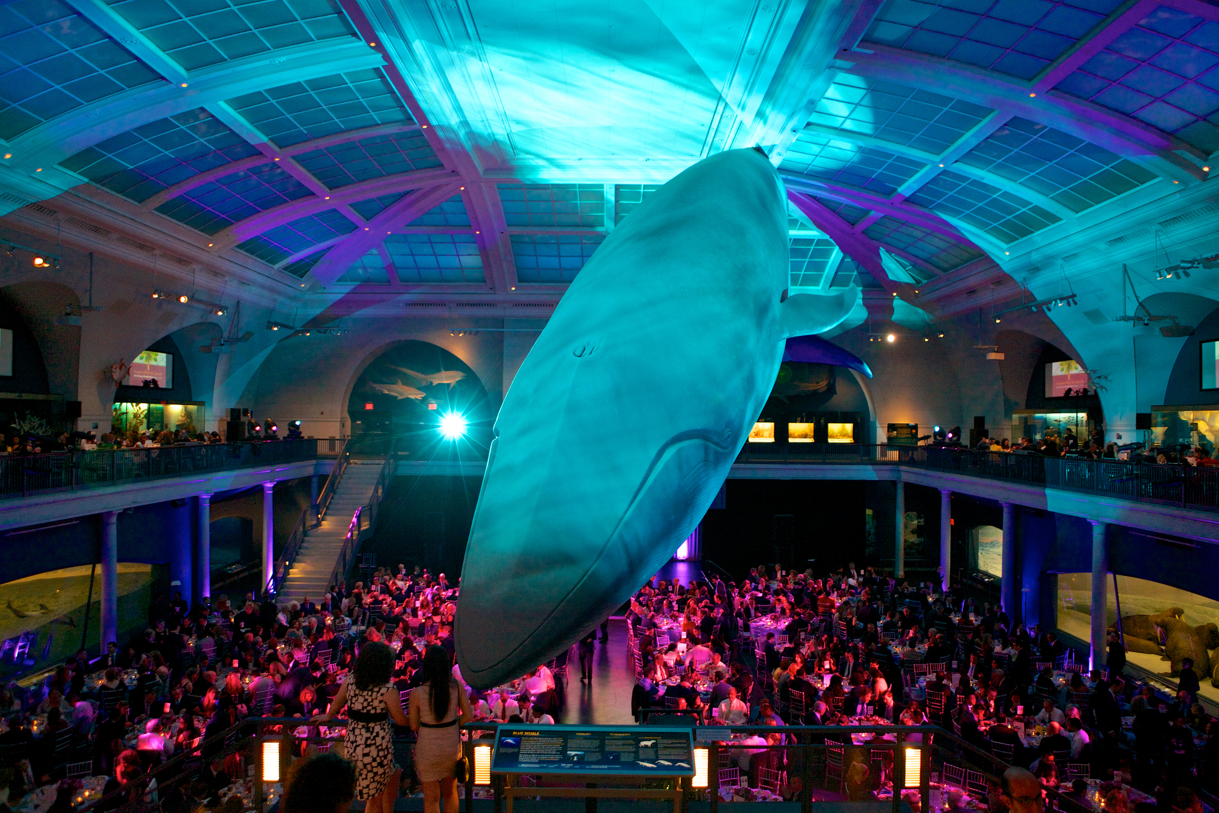   Pencil Gala, American Museum of Natural History, New York,&nbsp;Director,&nbsp;2013  