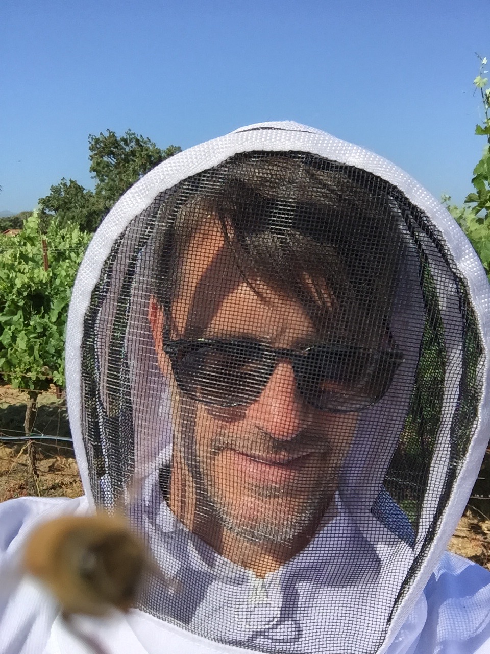  Brian working with his ladies of the hive.&nbsp; 