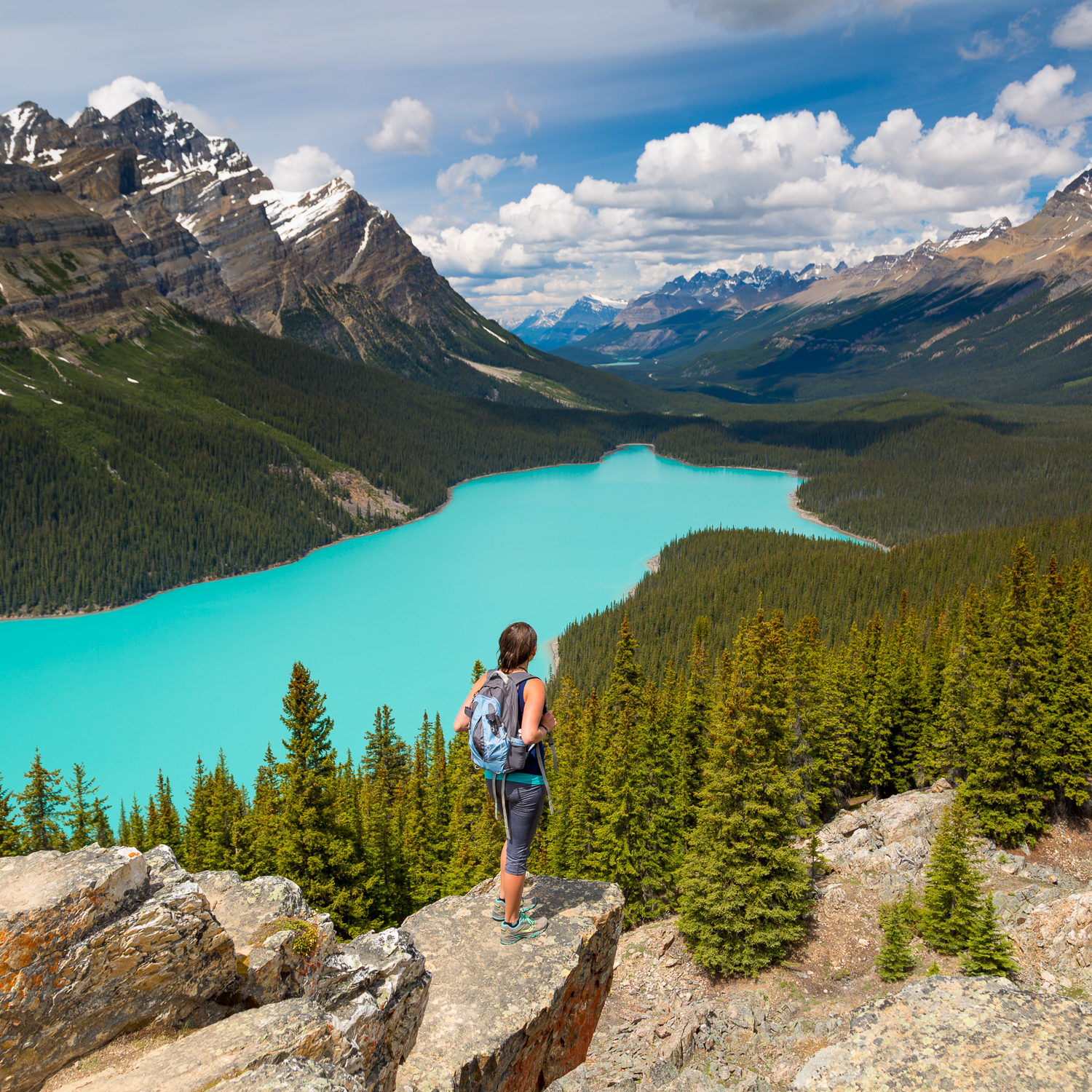 20150624_peyto_0078.jpg