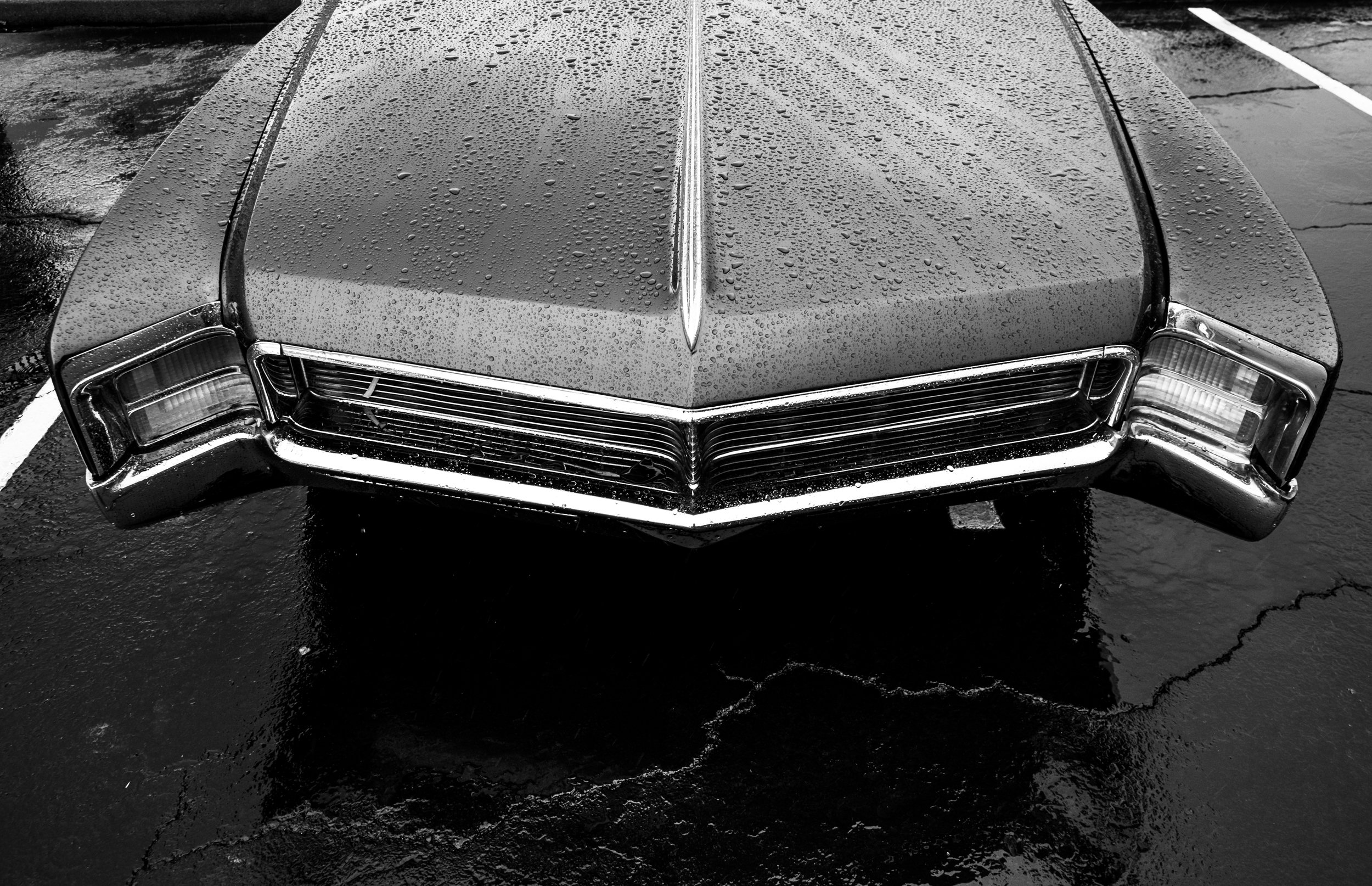 _DSF4081-1 BW.jpg