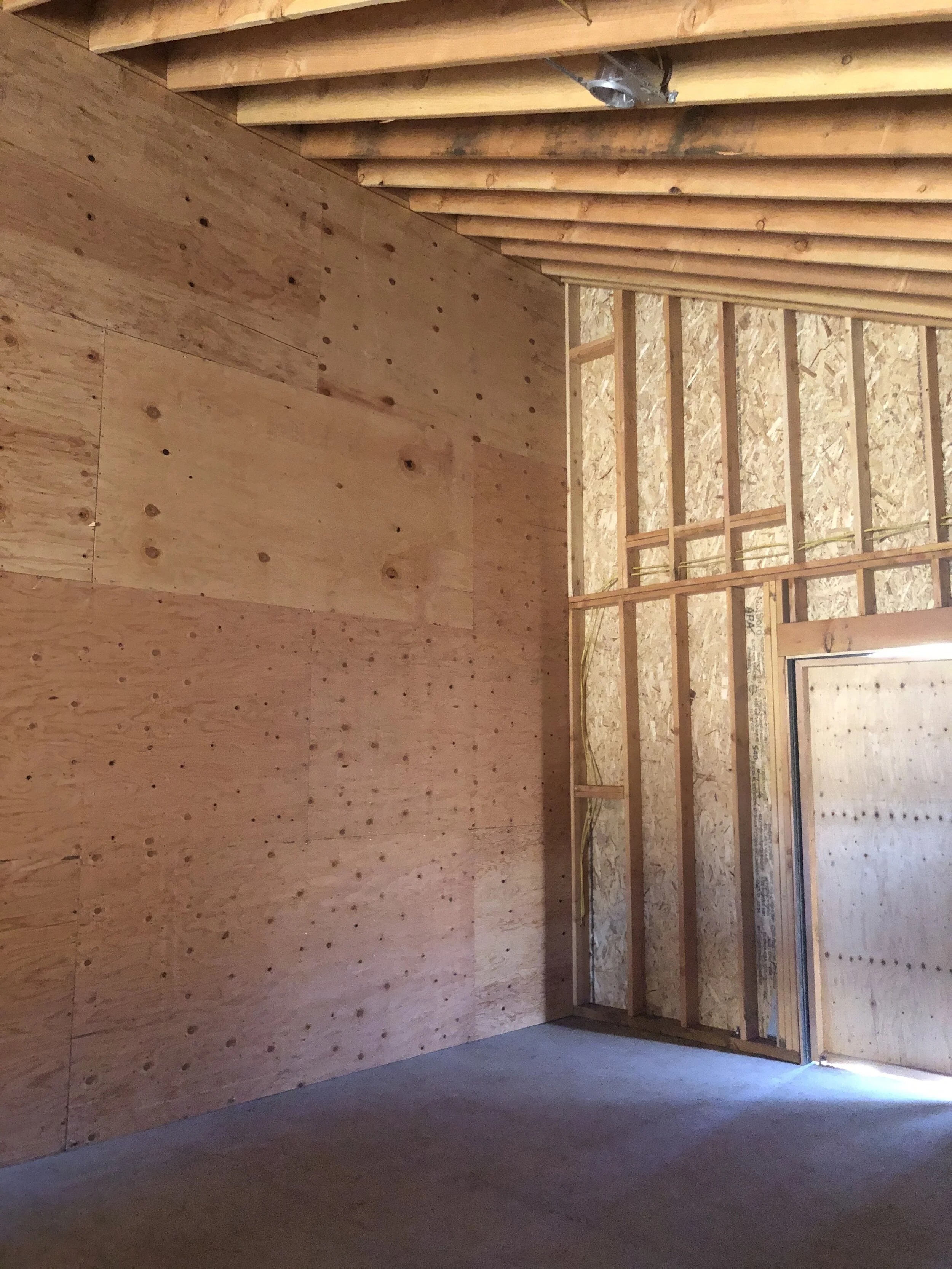 IMG_6881.jpg