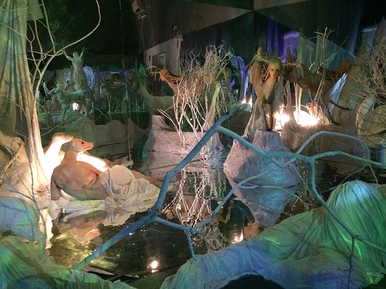 Reflecting illusions of pools of water surround a forest of hybrid imaginary creatures.