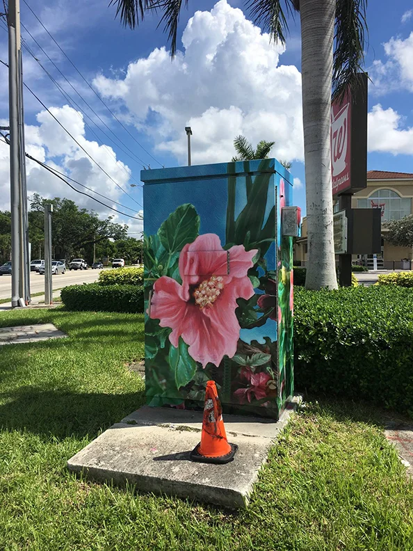 Traffic signal box