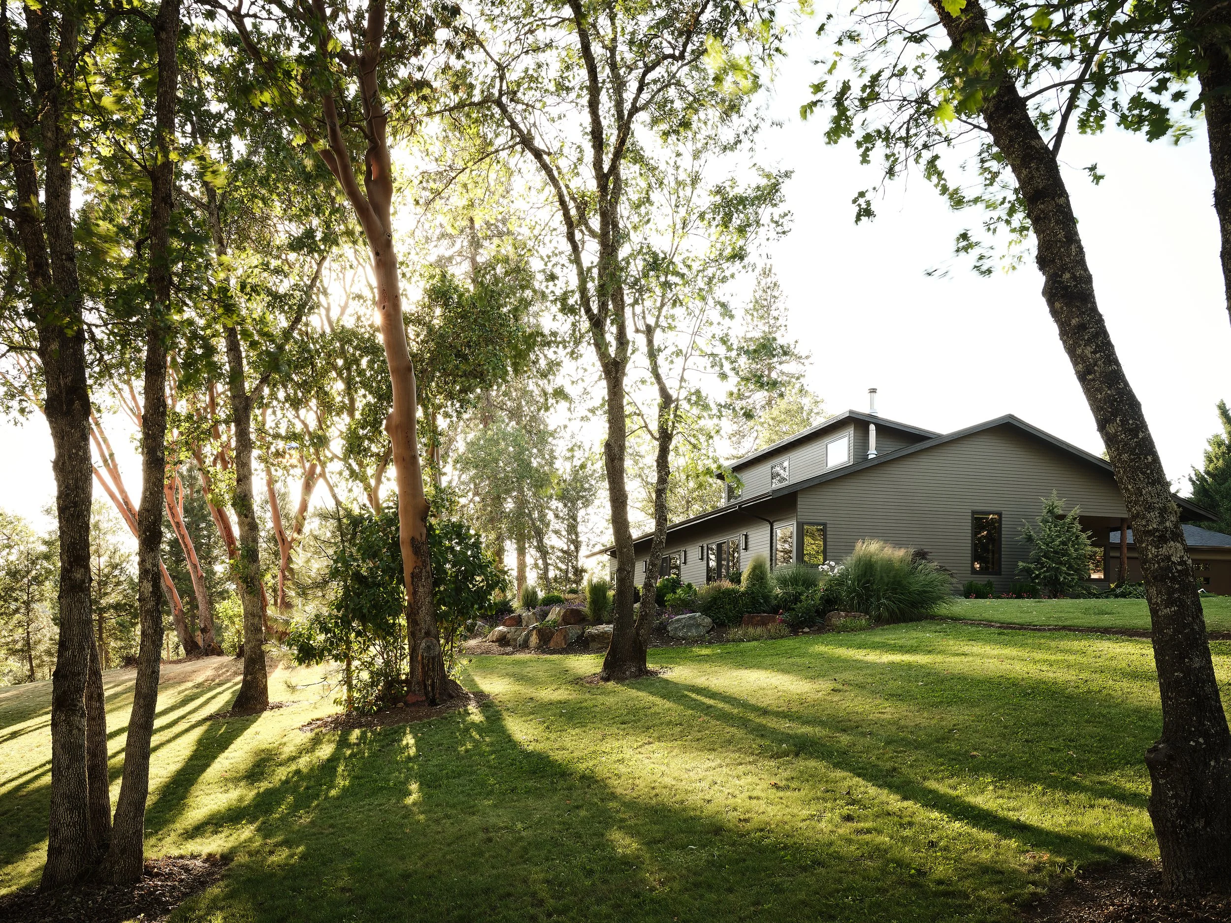 A modern house with large windows sits on a grassy, wooded lot with mature trees casting shadows in the late afternoon sunlight.