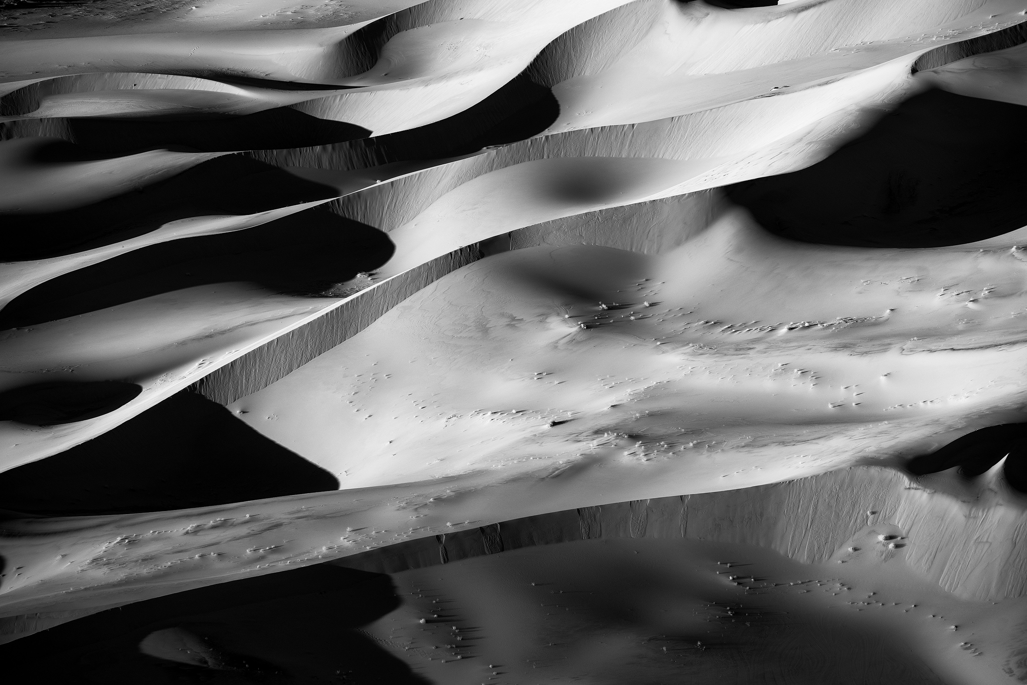 Dune-4_Print-copy.jpg