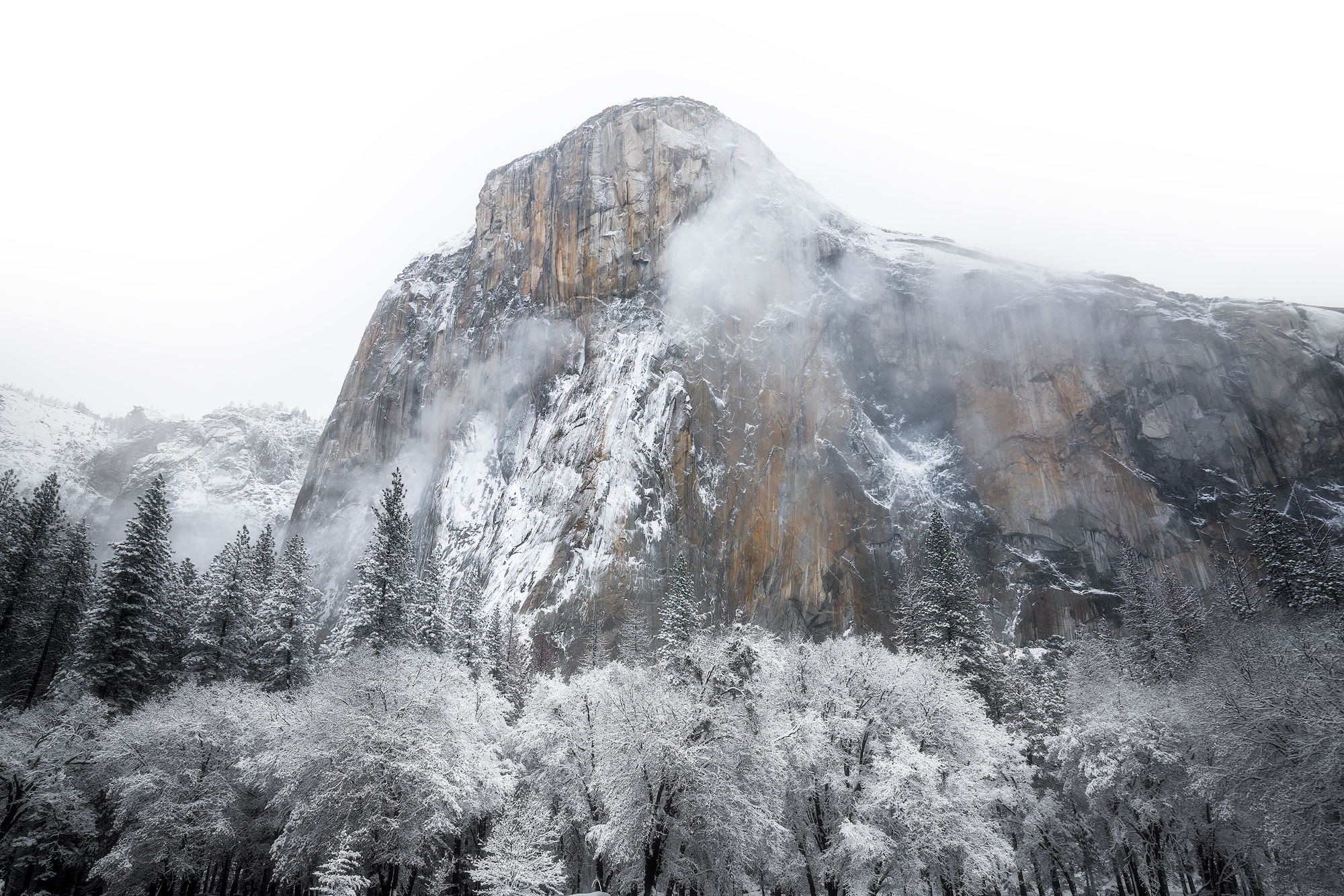 White Bliss- Yosemite, CA