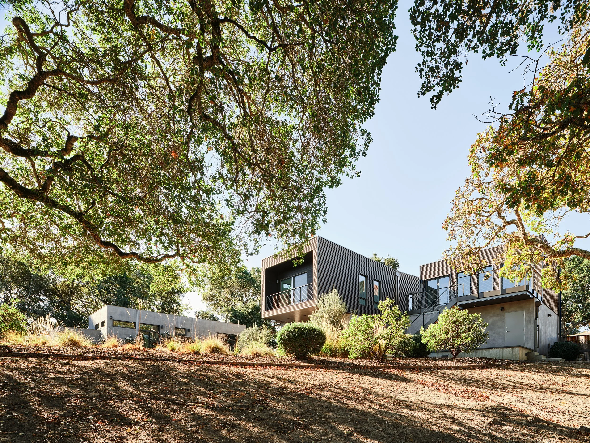 Modern house with dark siding, large windows, and a balcony, surrounded by trees and shrubs, on a sloped yard with sunlight filtering through the trees.
