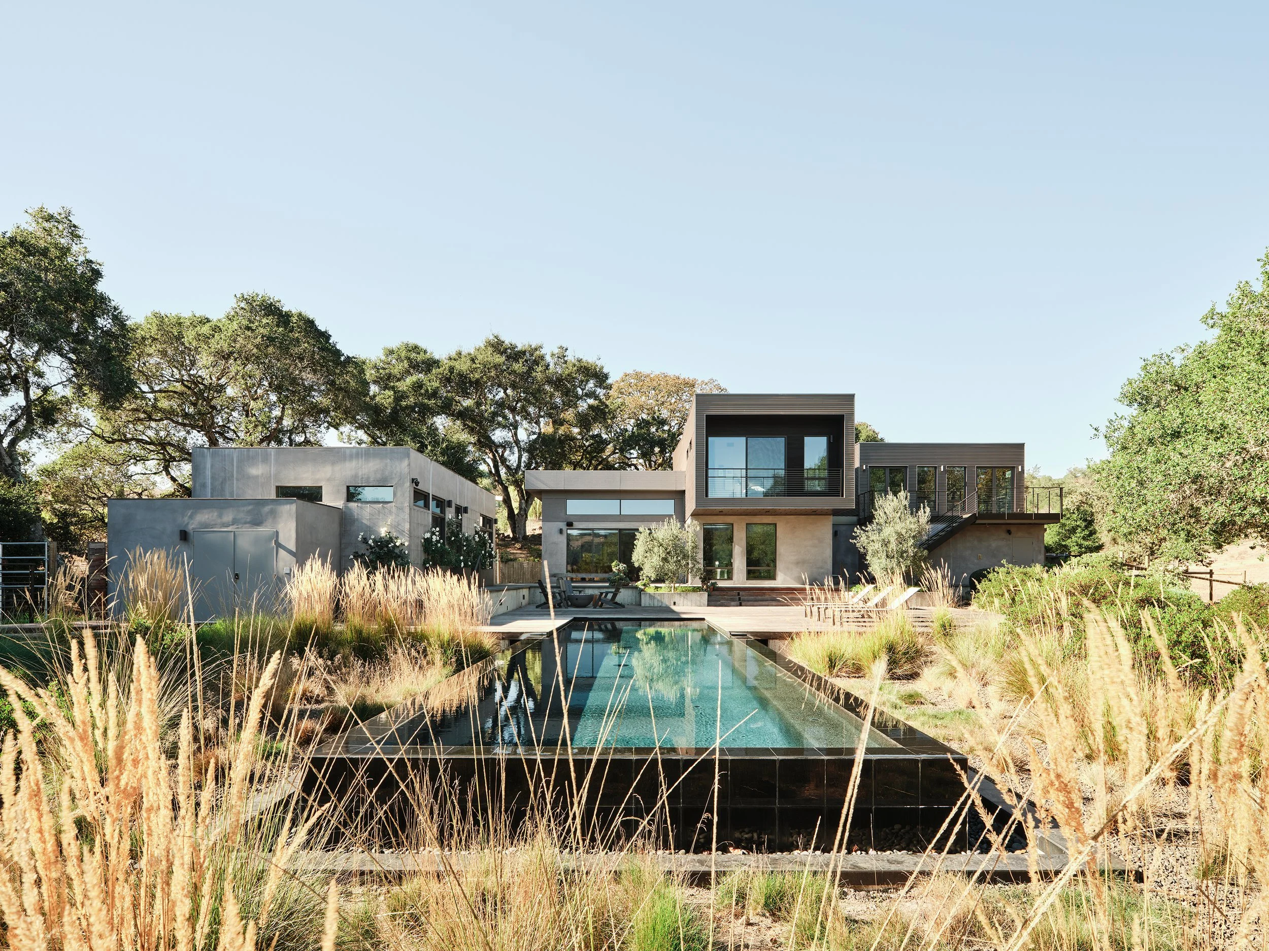Modern house with pool surrounded by dry grass and trees in the background.